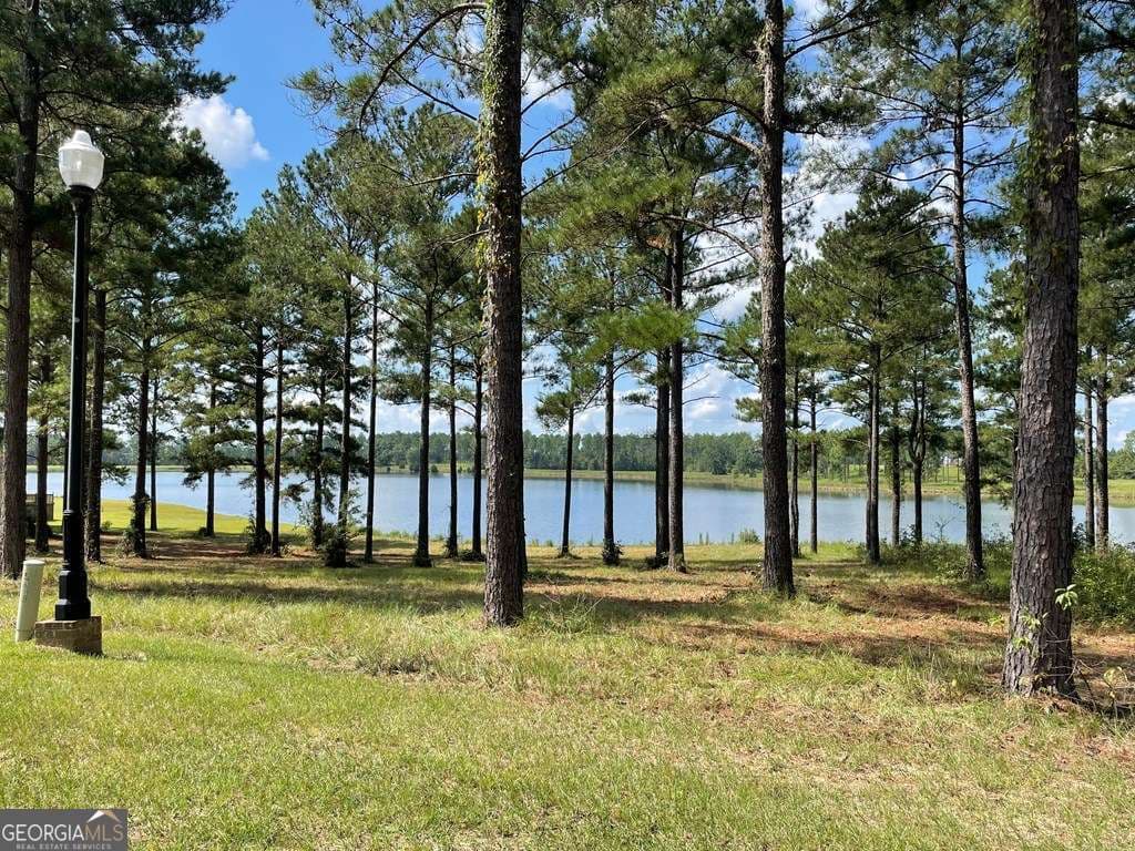 residential lot for sale at 0 Thompson Level Road, Lyons, GA 30436 — photo 4