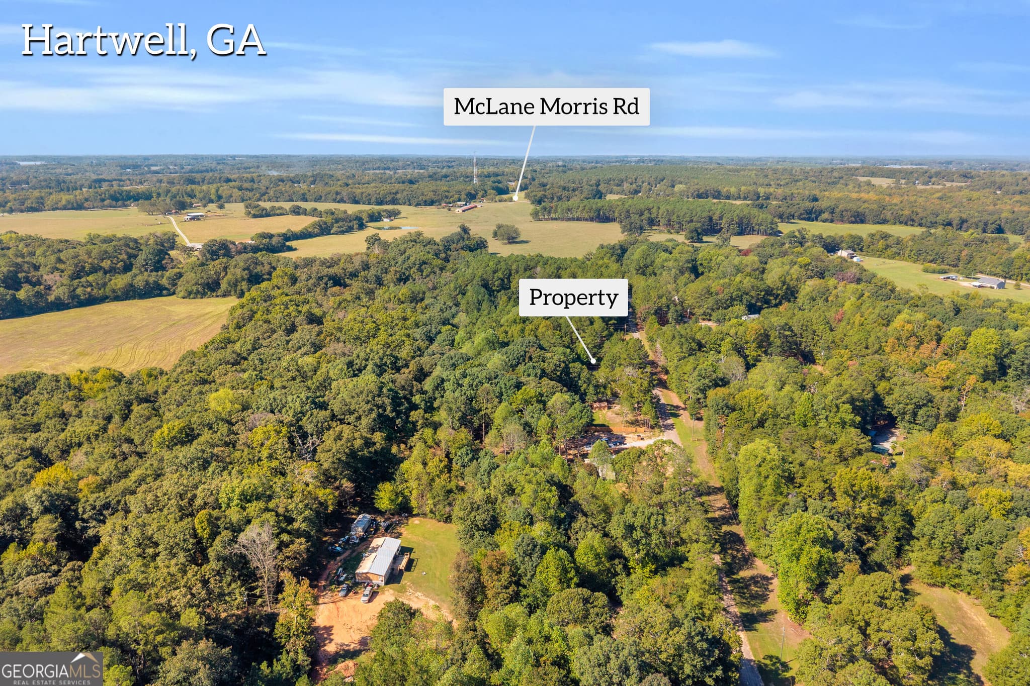 residential lot for sale at 0 Tony Drive, Hartwell, GA 30643 — photo 6