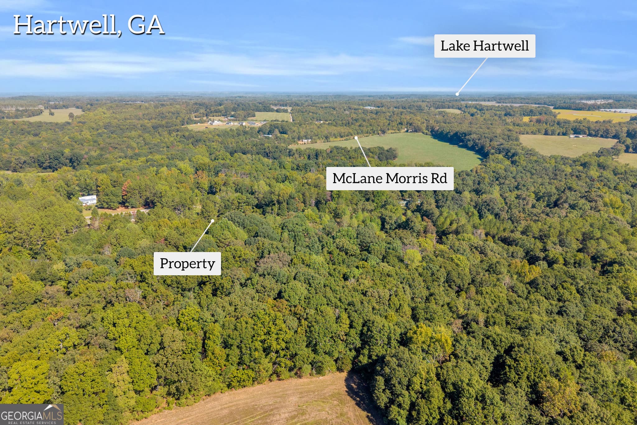 residential lot for sale at 0 Tony Drive, Hartwell, GA 30643 — photo 5