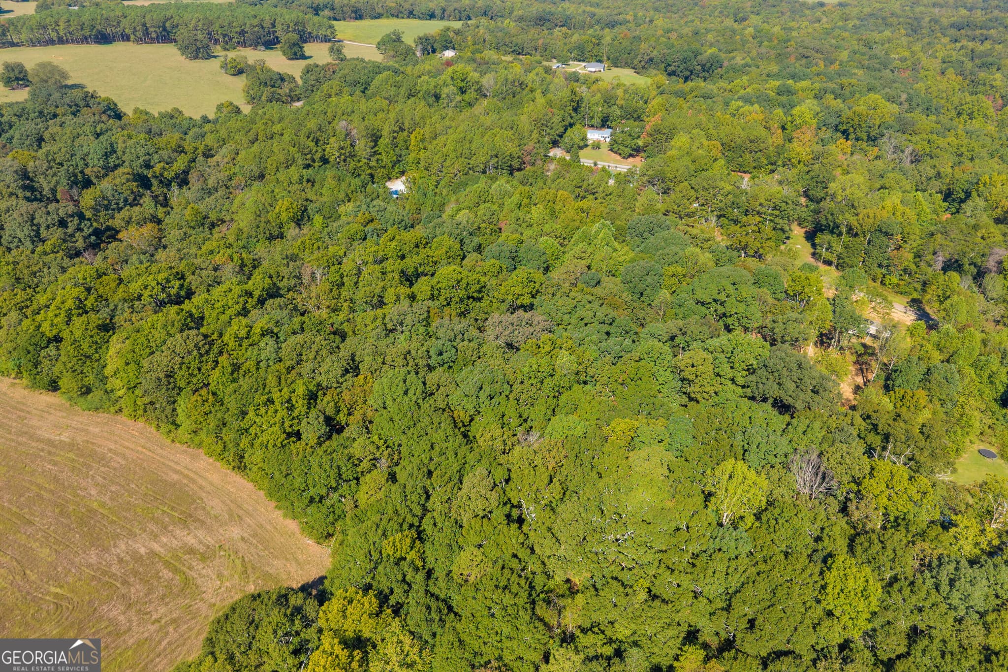 residential lot for sale at 0 Tony Drive, Hartwell, GA 30643 — photo 9