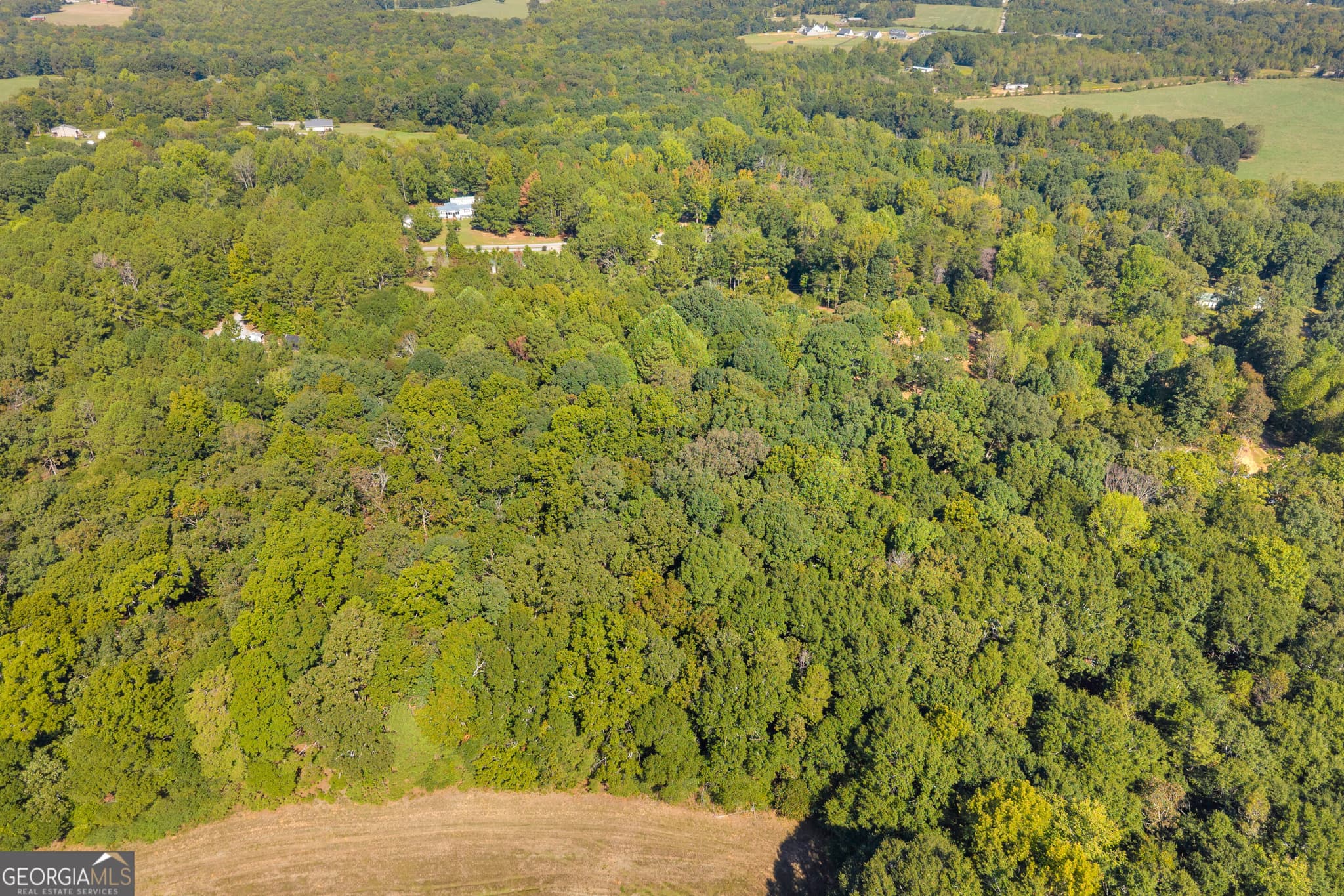 residential lot for sale at 0 Tony Drive, Hartwell, GA 30643 — photo 10