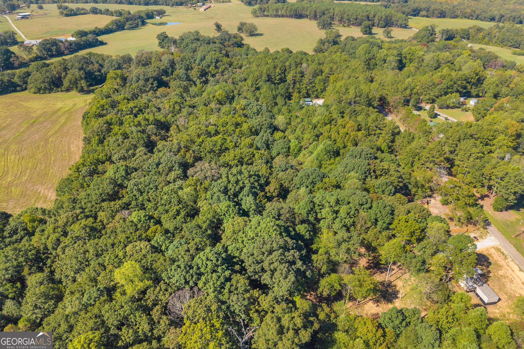 residential lot for sale at 0 Tony Drive, Hartwell, GA 30643 — photo 8