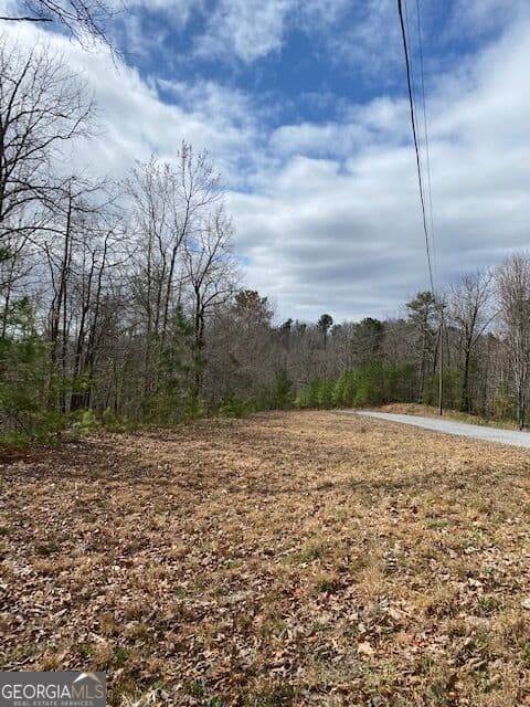 residential lot for sale at LT 54 Honeysuckle Way, Ellijay, GA 30540 — photo 2