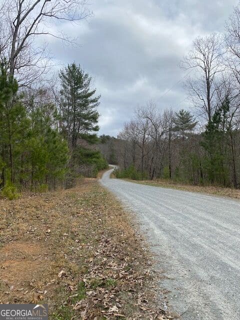 residential lot for sale at LT 54 Honeysuckle Way, Ellijay, GA 30540 — photo 6