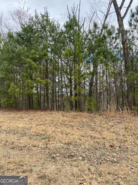 residential lot for sale at LT 54 Honeysuckle Way, Ellijay, GA 30540 — photo 7