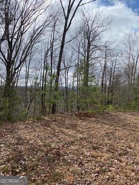 residential lot for sale at LT 54 Honeysuckle Way, Ellijay, GA 30540 — photo 3