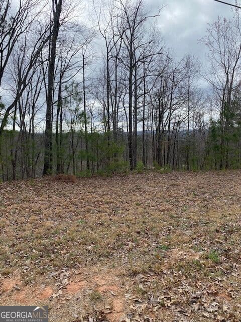 residential lot for sale at LT 54 Honeysuckle Way, Ellijay, GA 30540 — photo 5