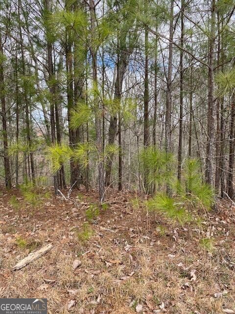 residential lot for sale at LT 54 Honeysuckle Way, Ellijay, GA 30540 — photo 9