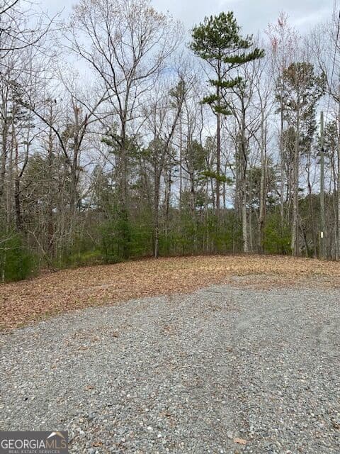 residential lot for sale at LT 54 Honeysuckle Way, Ellijay, GA 30540 — photo 10