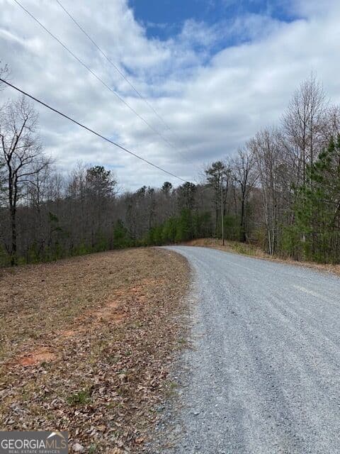 residential lot for sale at LT 54 Honeysuckle Way, Ellijay, GA 30540 — photo 4