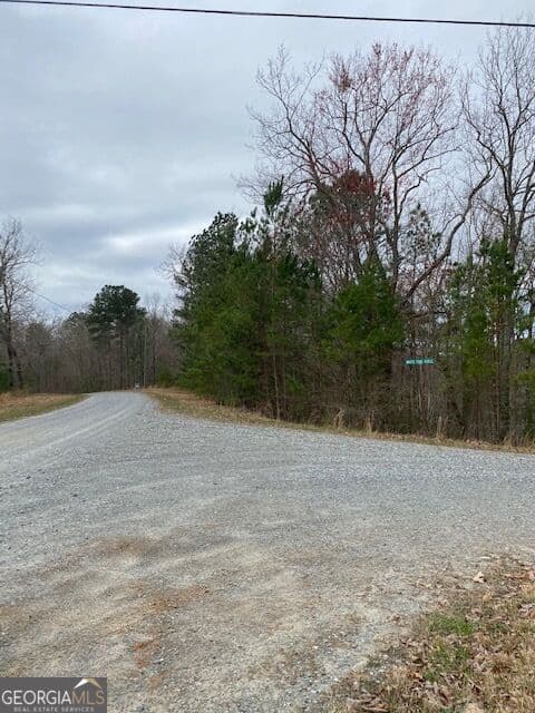 residential lot for sale at LT 54 Honeysuckle Way, Ellijay, GA 30540 — photo 8
