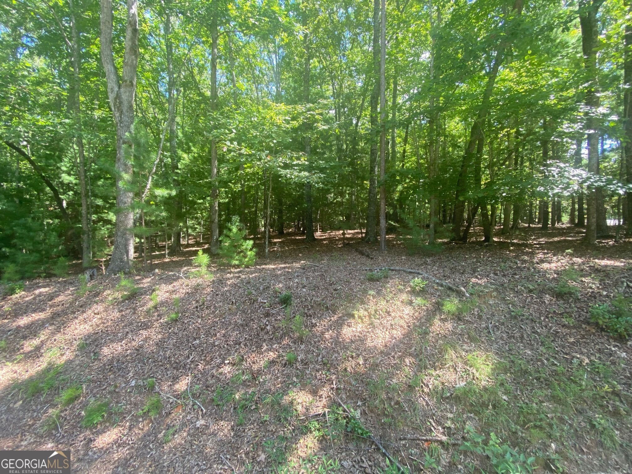 residential lot for sale at 6.93 AC Timber Ridge Road, Blairsville, GA 30512 — photo 2