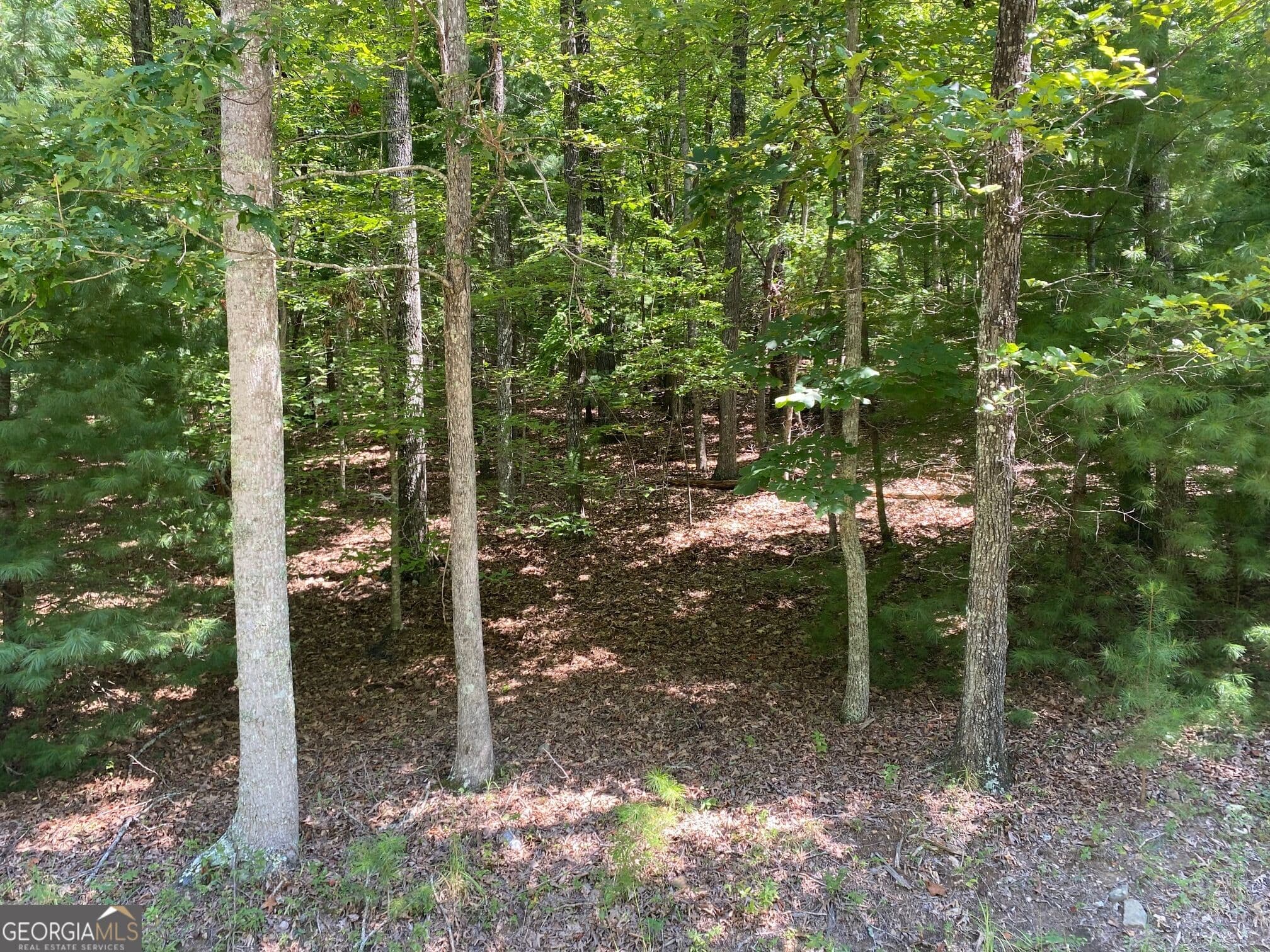 residential lot for sale at 6.93 AC Timber Ridge Road, Blairsville, GA 30512 — photo 3
