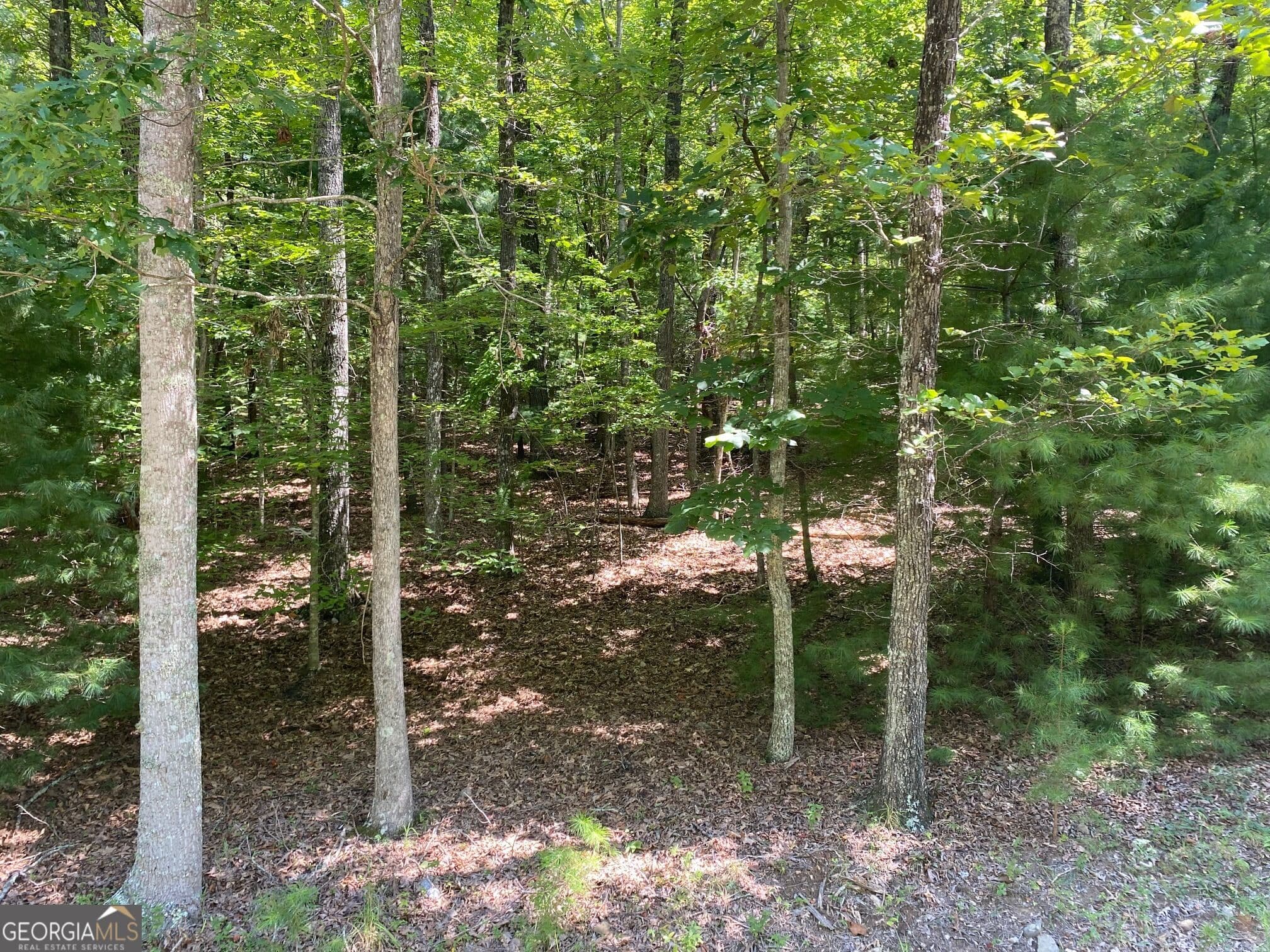 residential lot for sale at 6.93 AC Timber Ridge Road, Blairsville, GA 30512 — photo 1 of 5