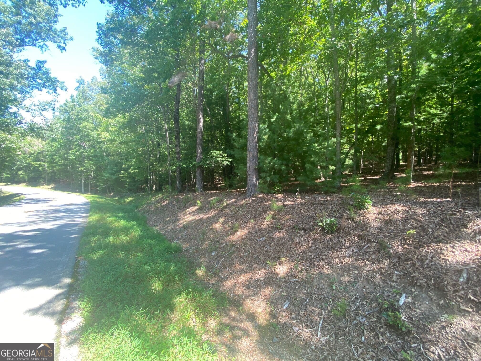 residential lot for sale at 6.93 AC Timber Ridge Road, Blairsville, GA 30512 — photo 5