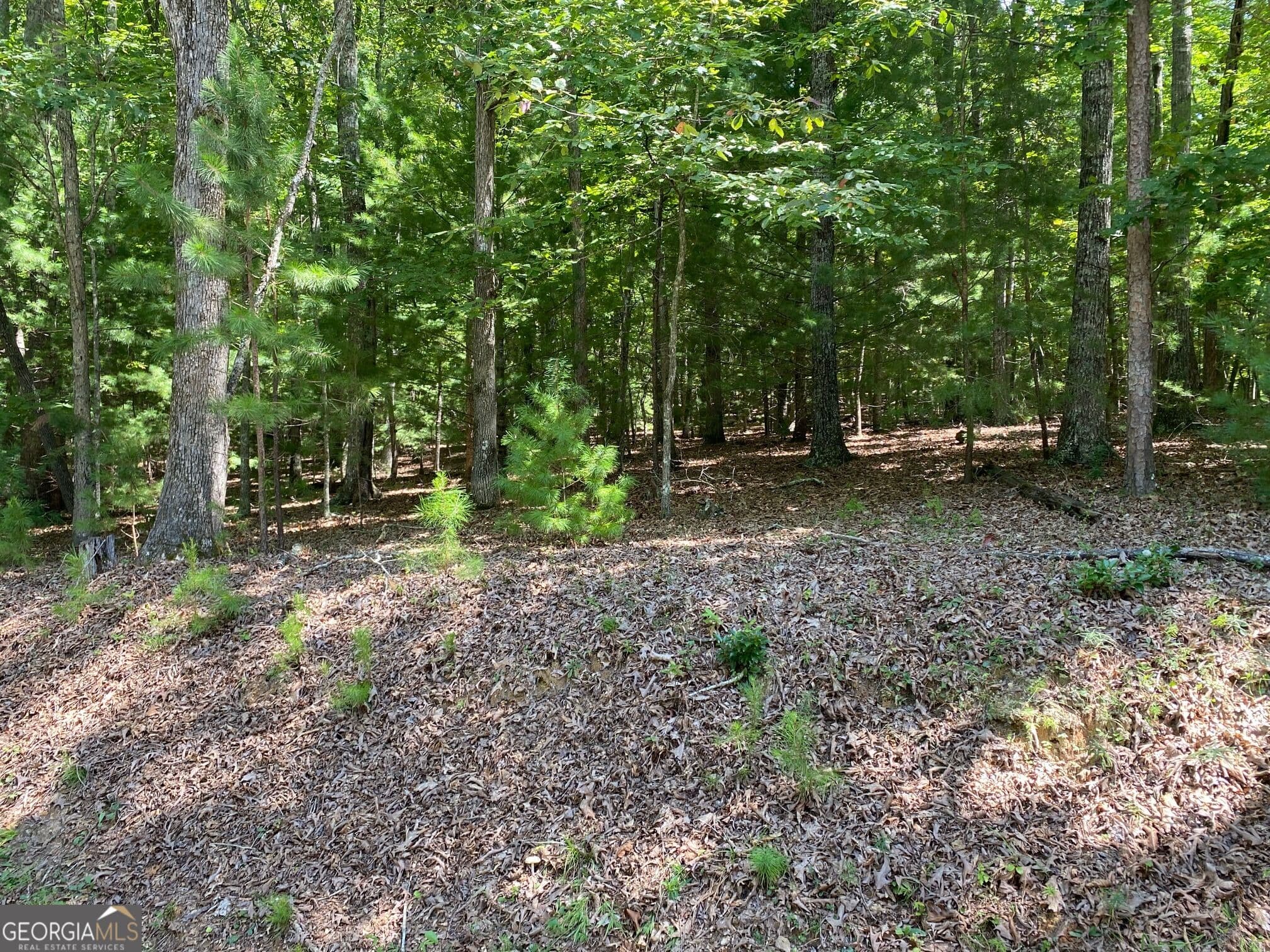 residential lot for sale at 6.93 AC Timber Ridge Road, Blairsville, GA 30512 — photo 4