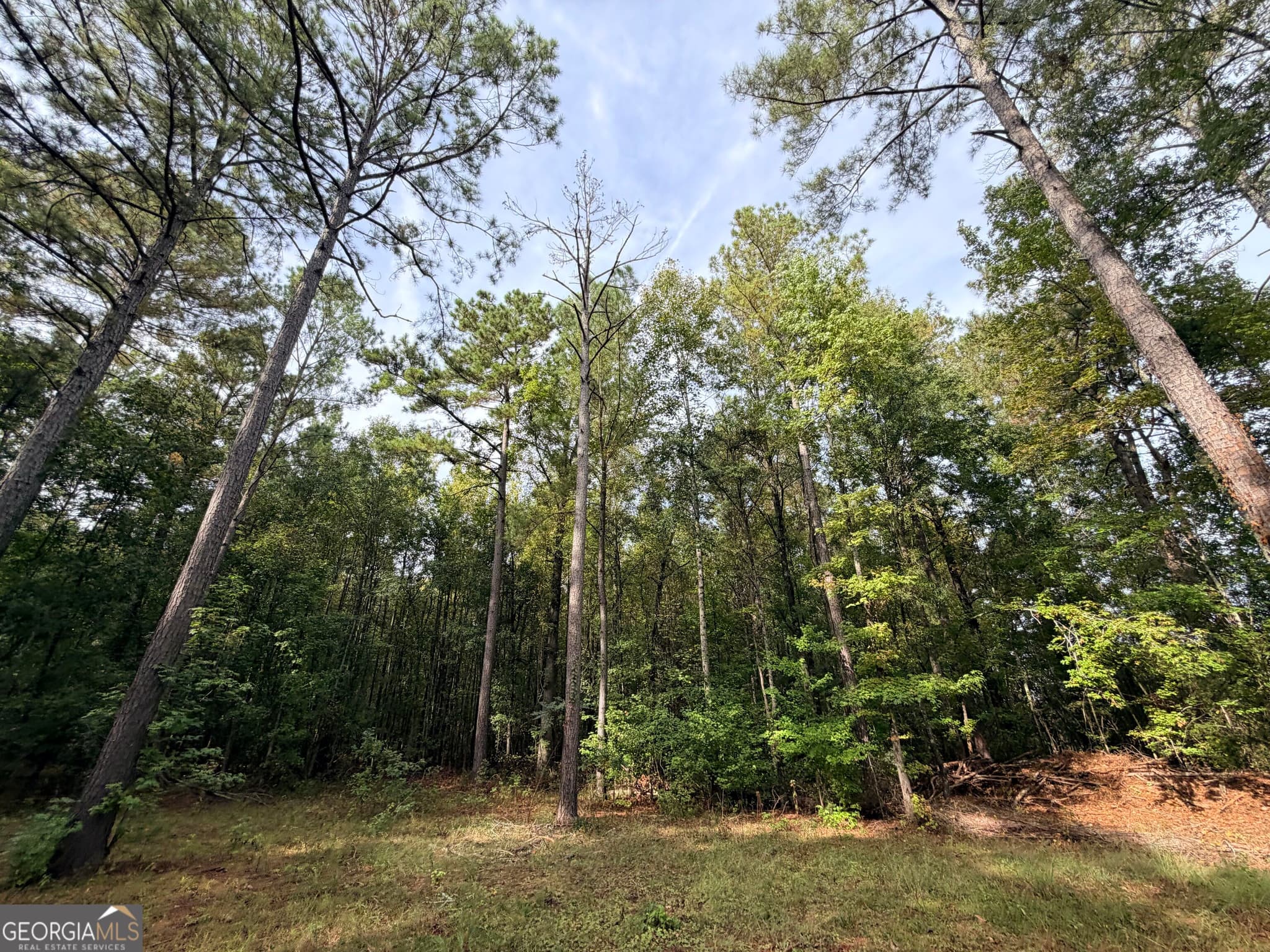 agriculture under contract at 4043 Silas Mercer Lane, Crawfordville, GA 30631 — photo 6