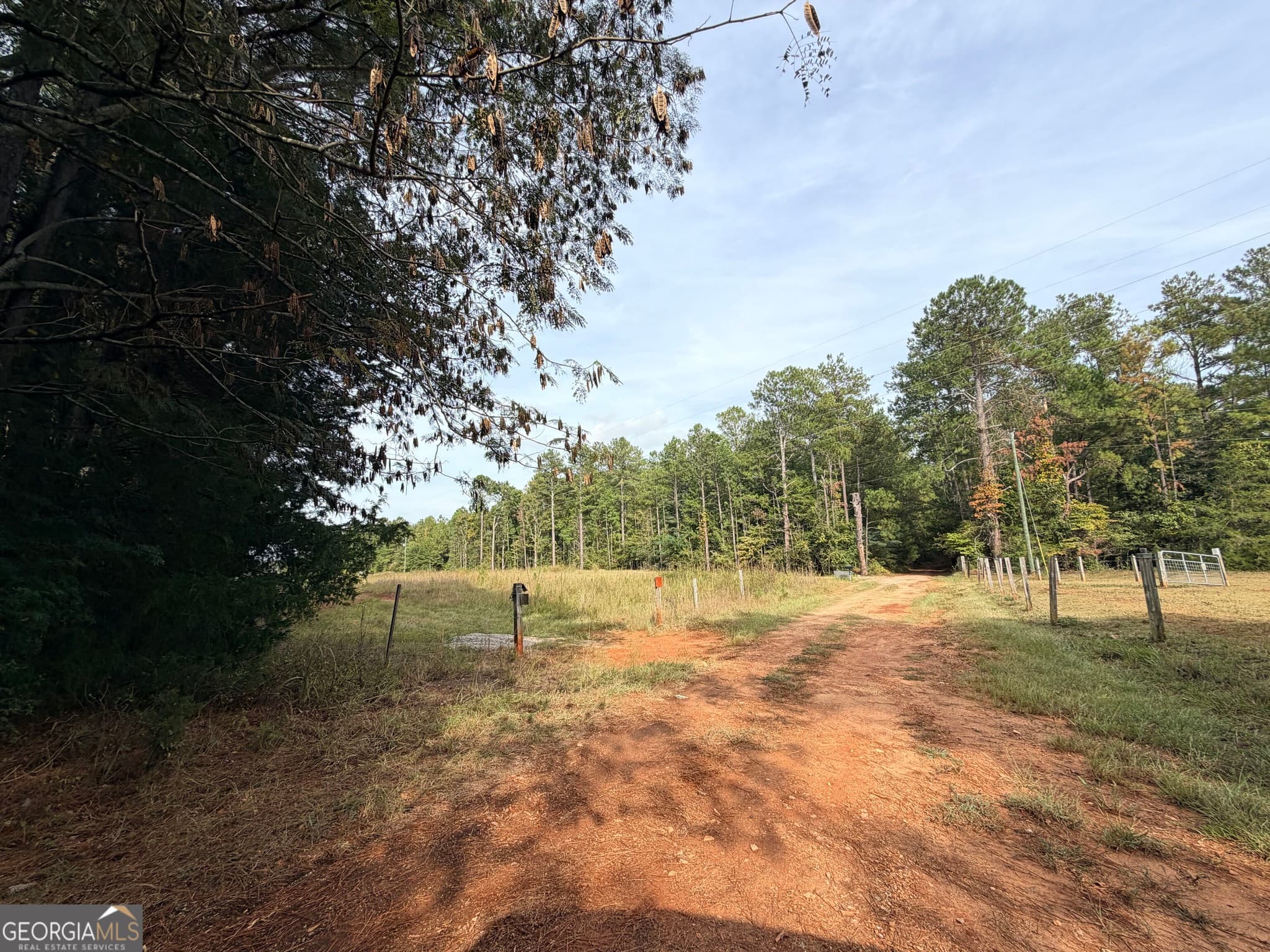 agriculture under contract at 4043 Silas Mercer Lane, Crawfordville, GA 30631 — photo 3