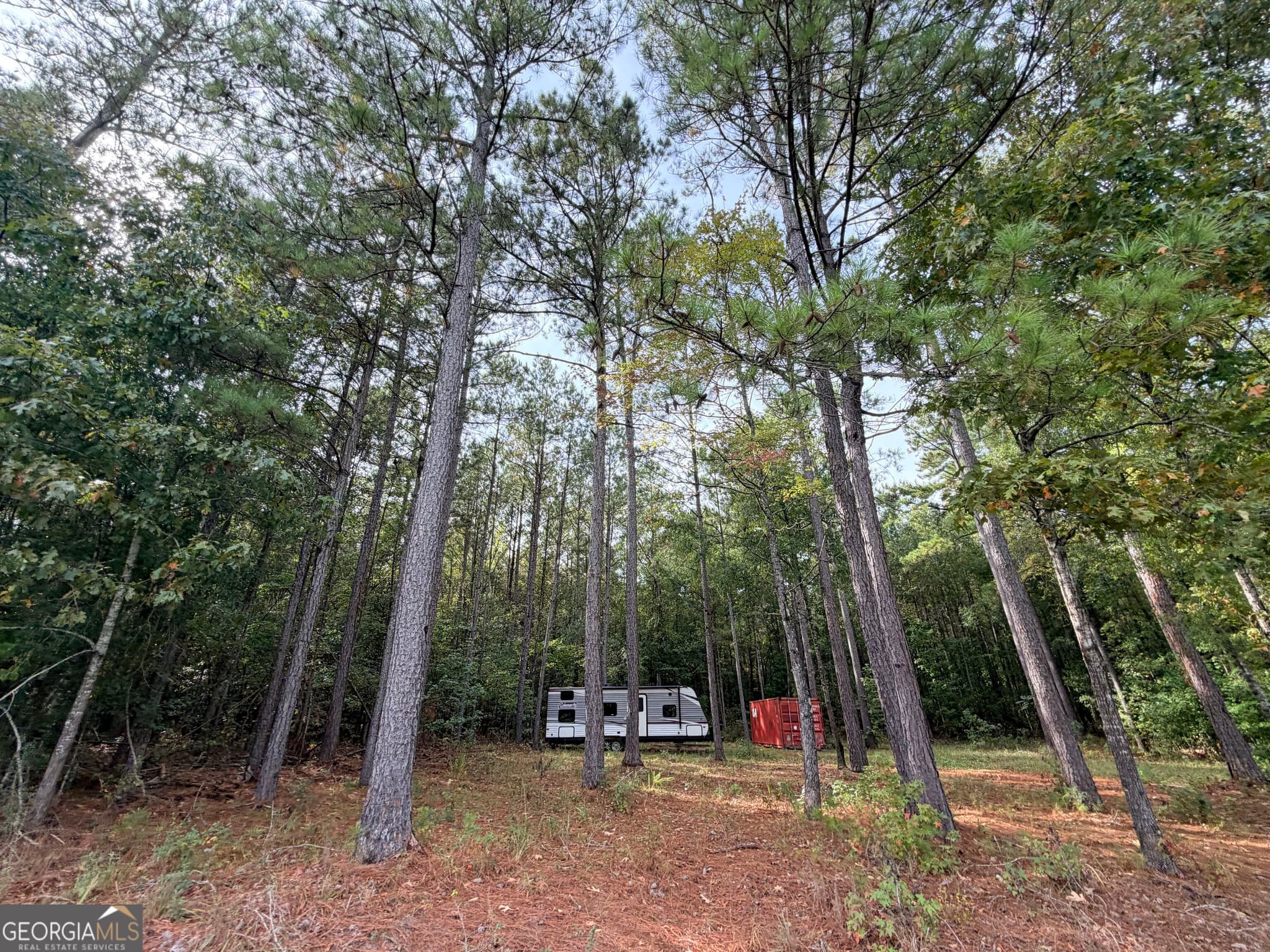 agriculture under contract at 4043 Silas Mercer Lane, Crawfordville, GA 30631 — photo 5