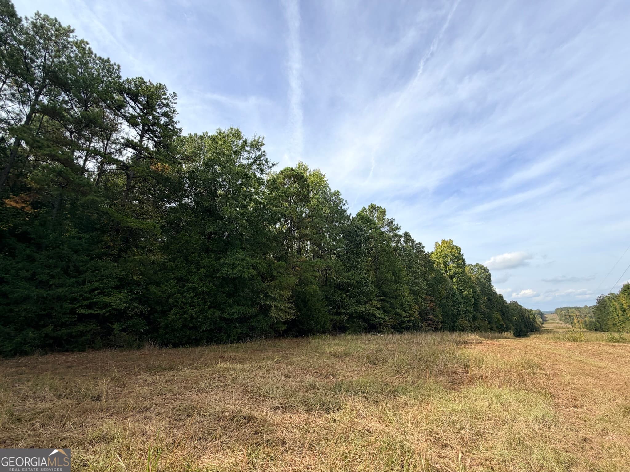 agriculture under contract at 4043 Silas Mercer Lane, Crawfordville, GA 30631 — photo 9