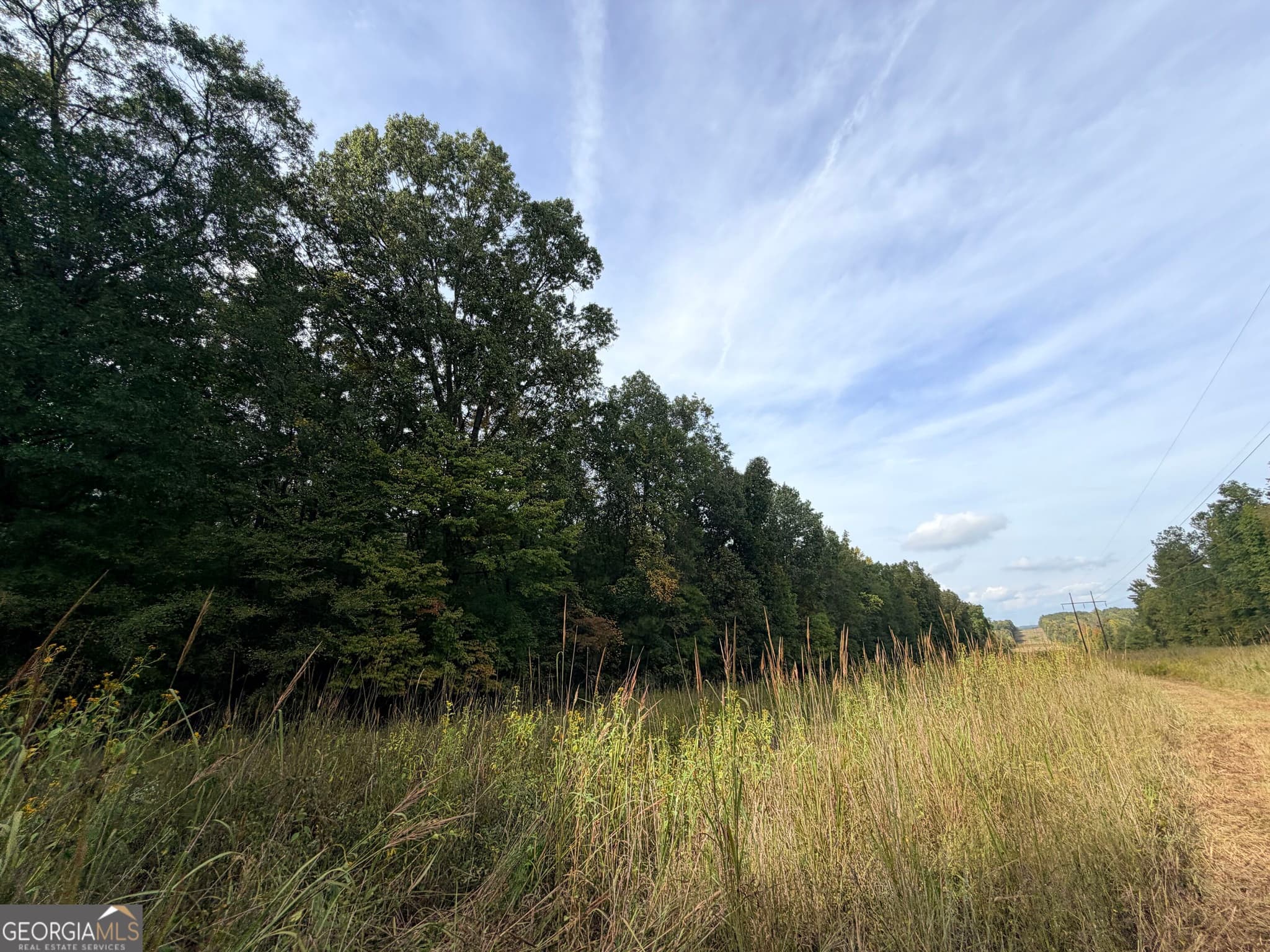 agriculture under contract at 4043 Silas Mercer Lane, Crawfordville, GA 30631 — photo 10