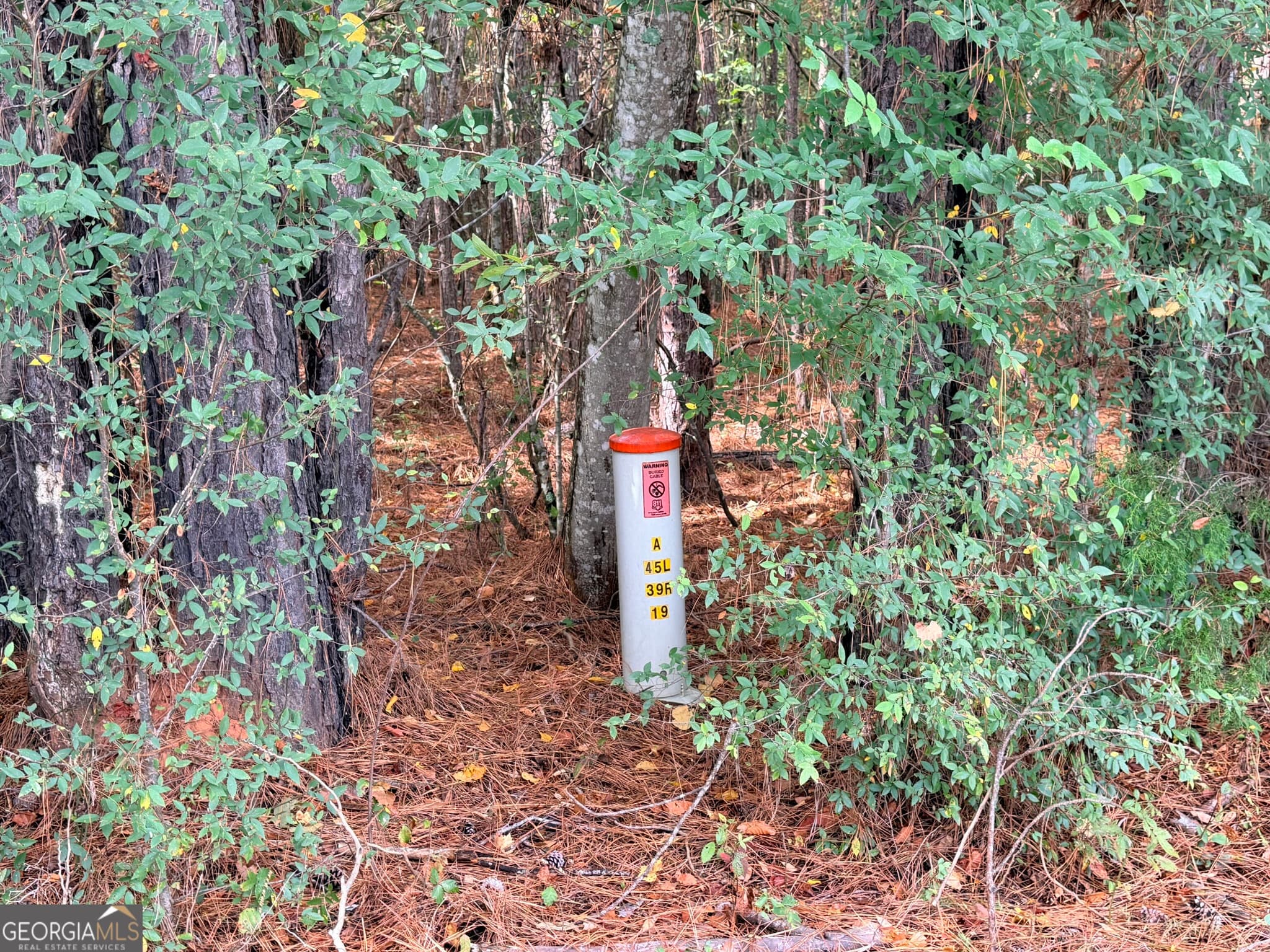 agriculture under contract at 4043 Silas Mercer Lane, Crawfordville, GA 30631 — photo 8