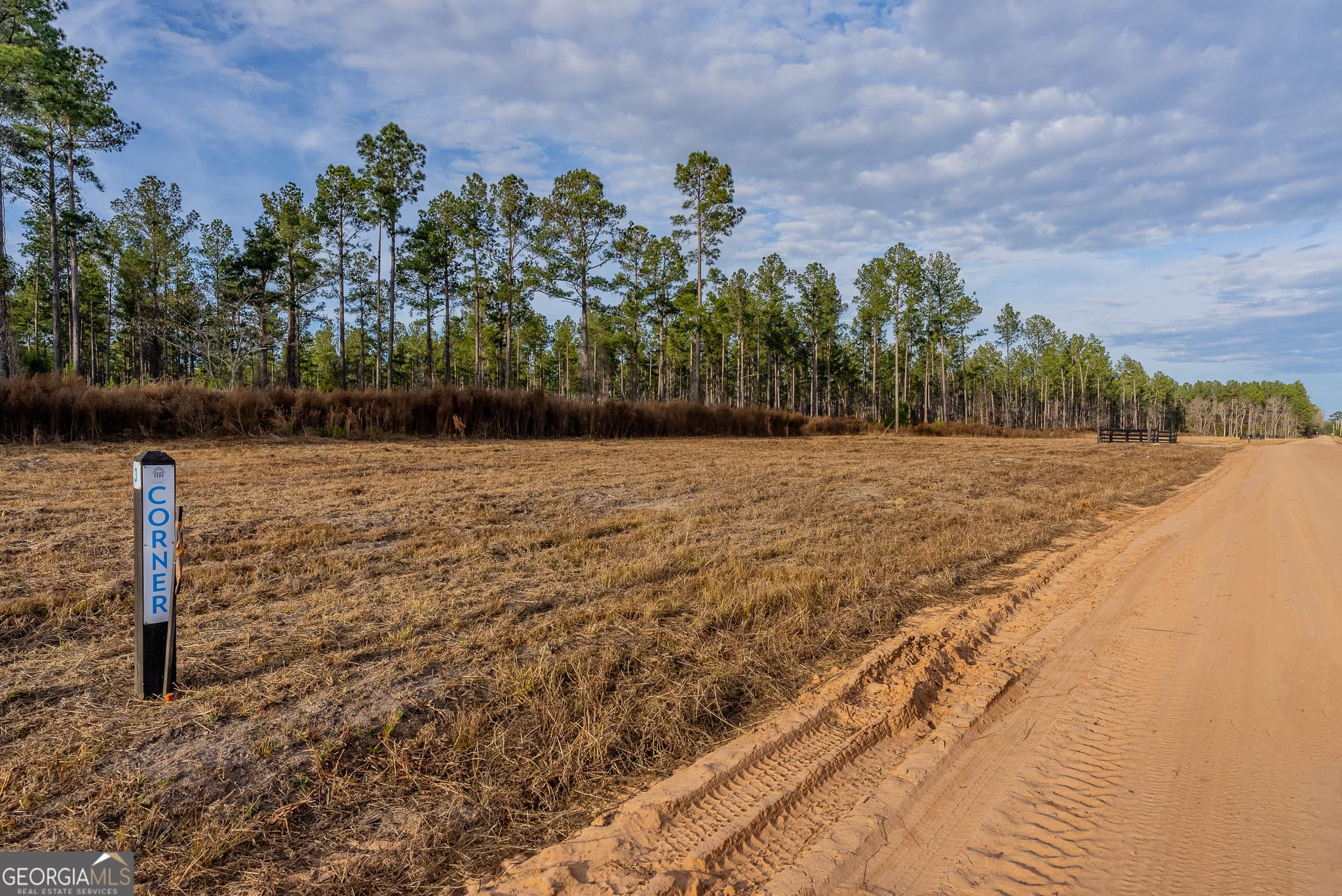 agriculture for sale at LOT 4 Arcola Road, Brooklet, GA 30415 — photo 2