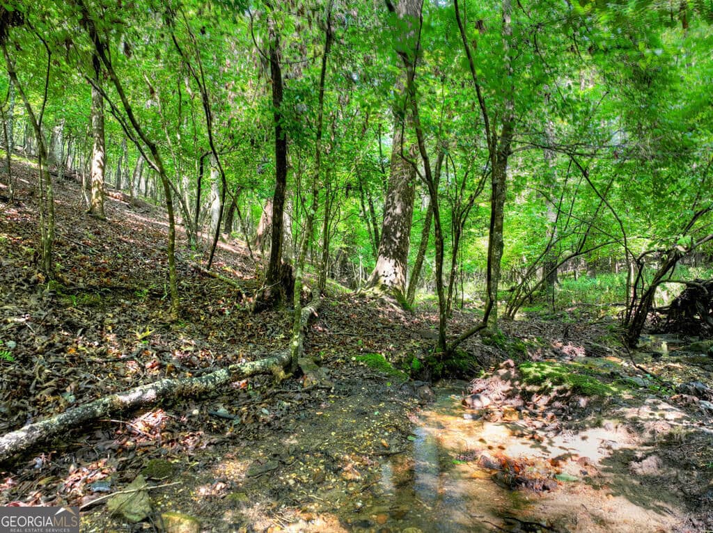 4 bedroom, 3 bathroom, 3,366 sq ft cabin,single family residence for sale at 467 Logan Drive, Mineral Bluff, GA 30559 — photo 6