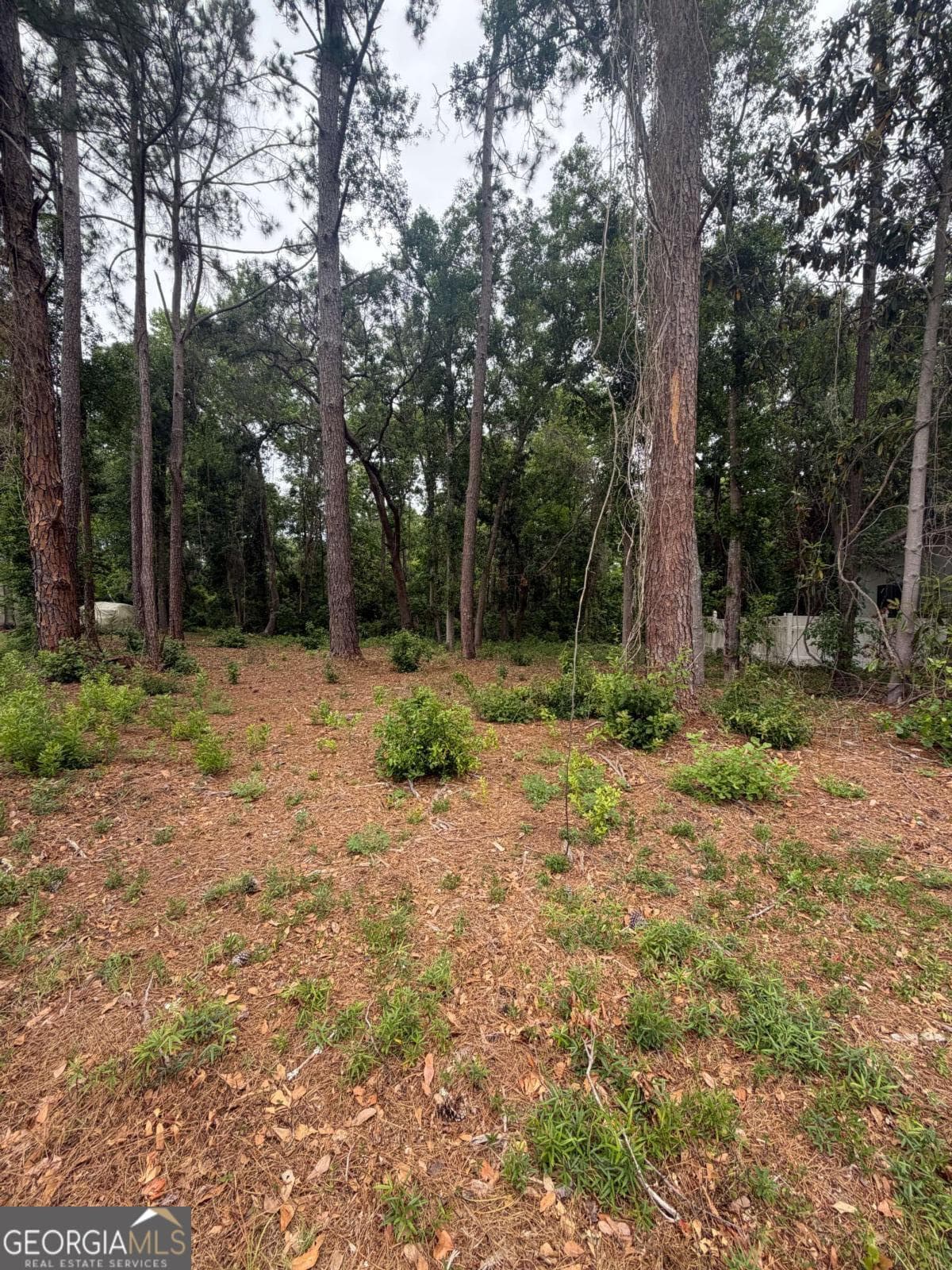 residential lot for sale at 134 Palmera Lane, Brunswick, GA 31520 — photo 2