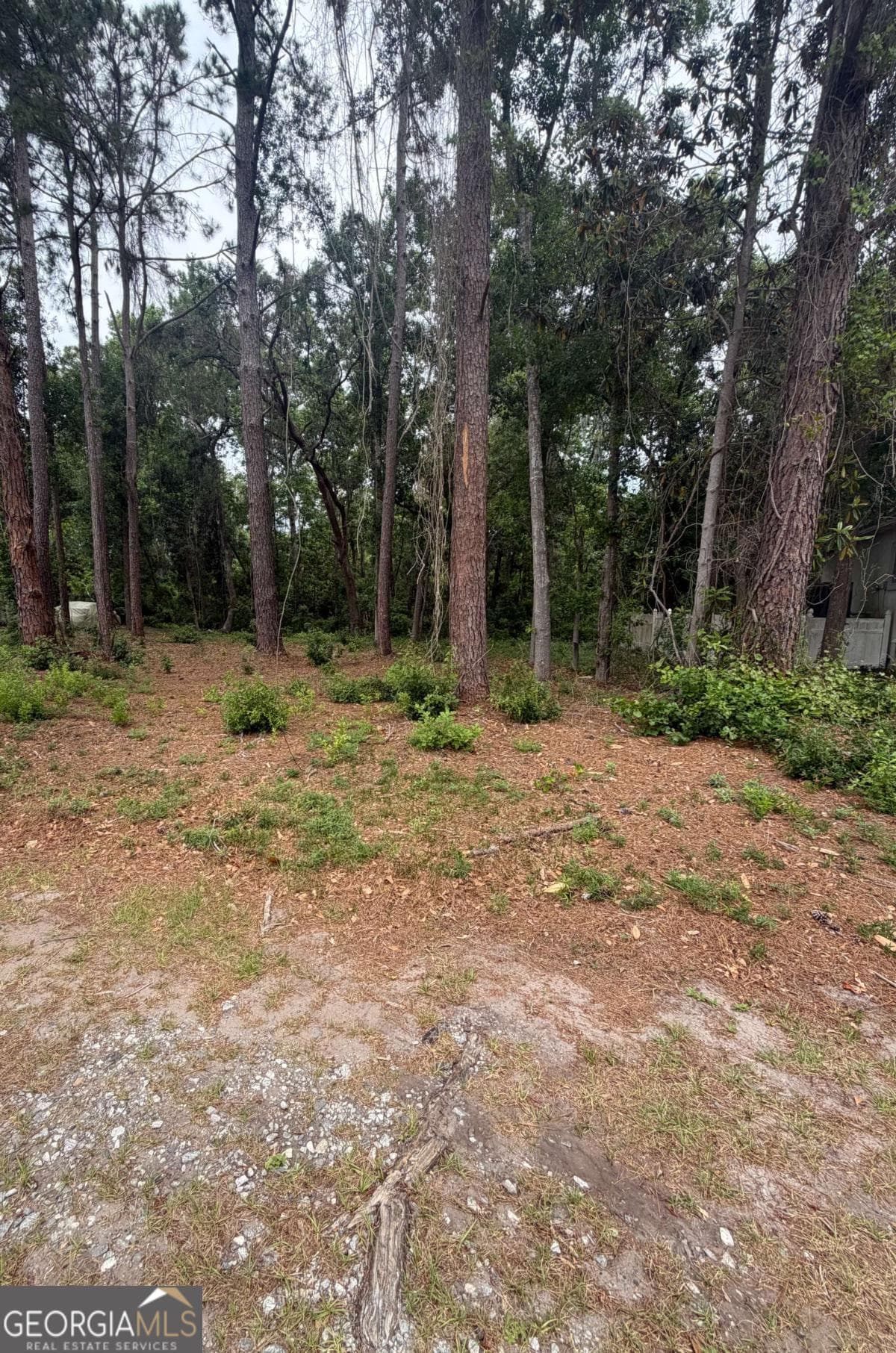 residential lot for sale at 134 Palmera Lane, Brunswick, GA 31520 — photo 3