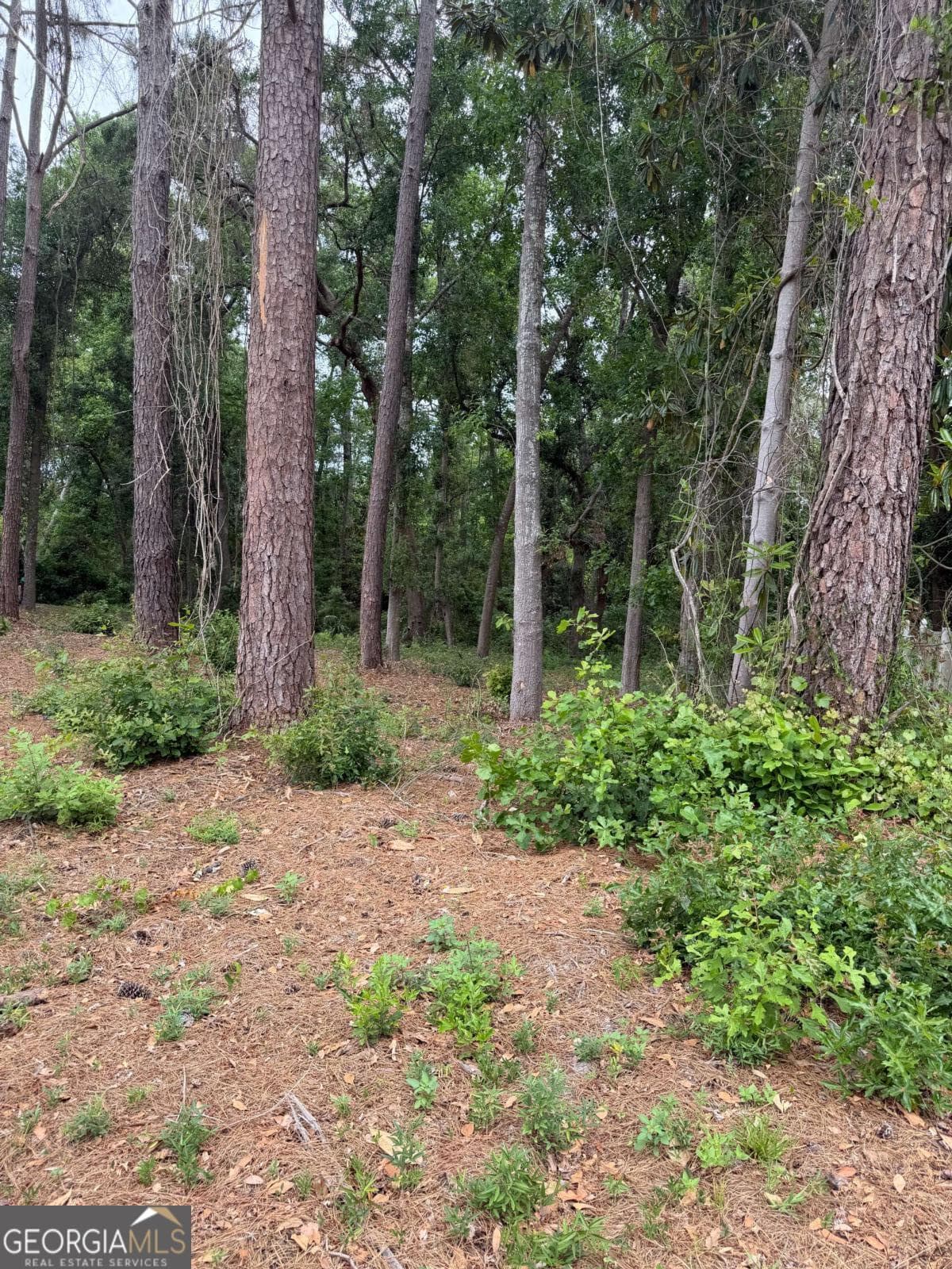 residential lot for sale at 134 Palmera Lane, Brunswick, GA 31520