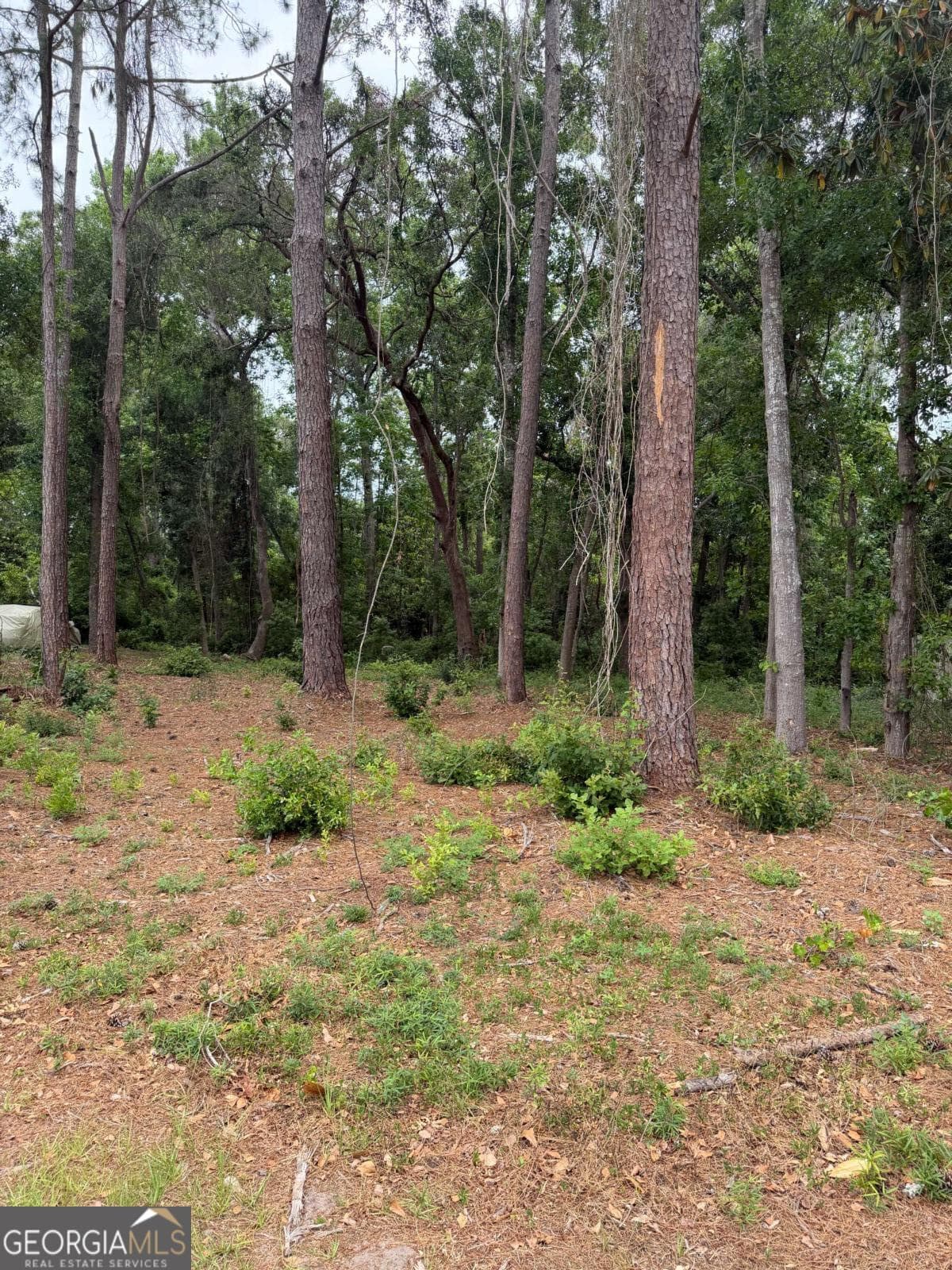 residential lot for sale at 134 Palmera Lane, Brunswick, GA 31520 — photo 4