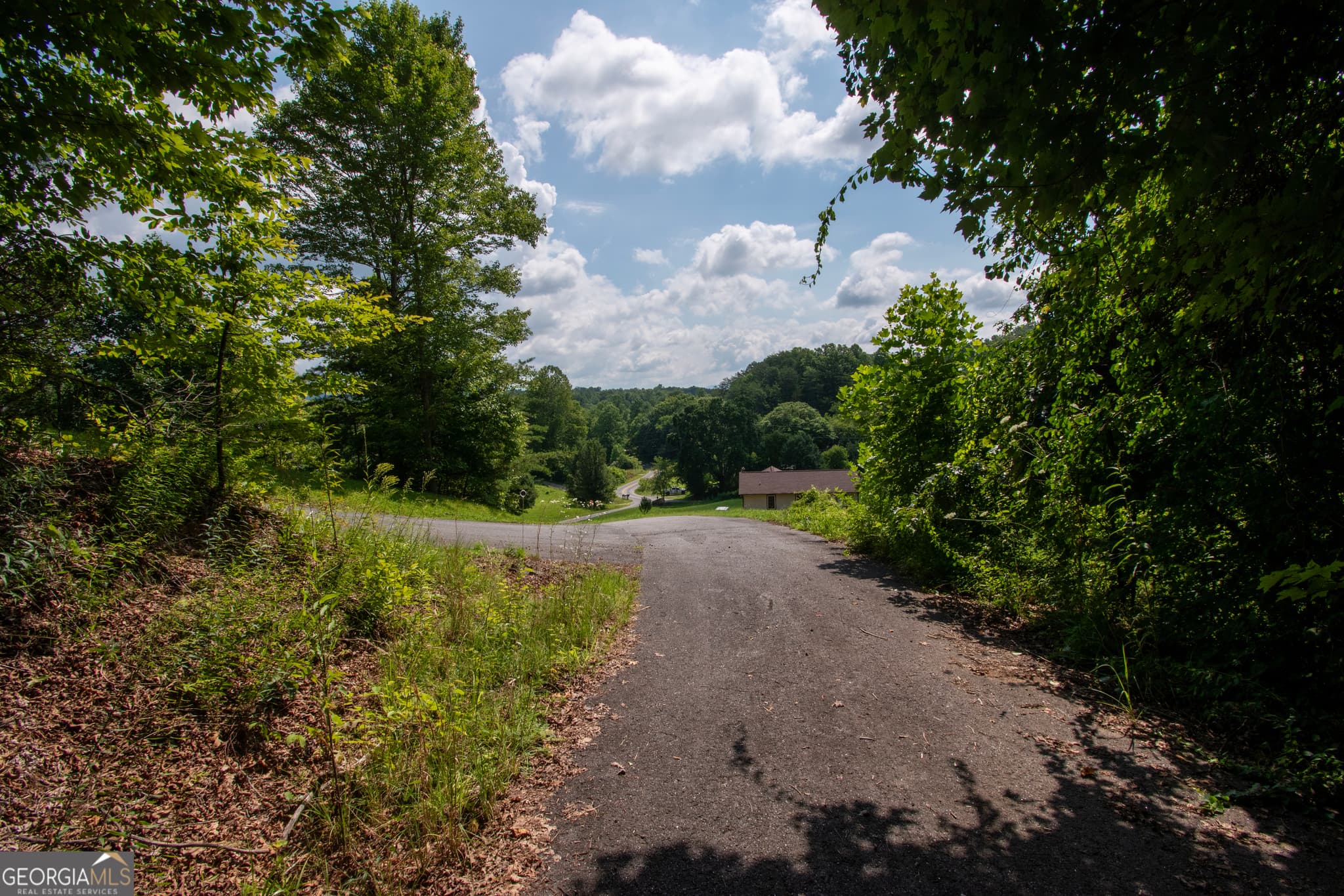 residential lot for sale at 850 Bluff Road, Marble, NC 28905 — photo 6