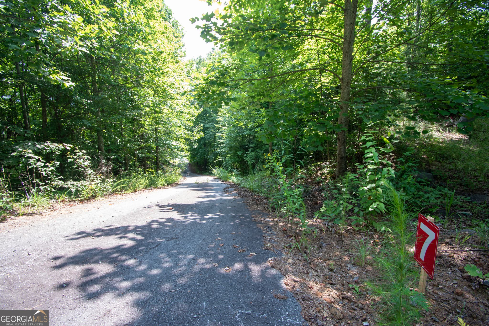 residential lot for sale at 850 Bluff Road, Marble, NC 28905 — photo 7