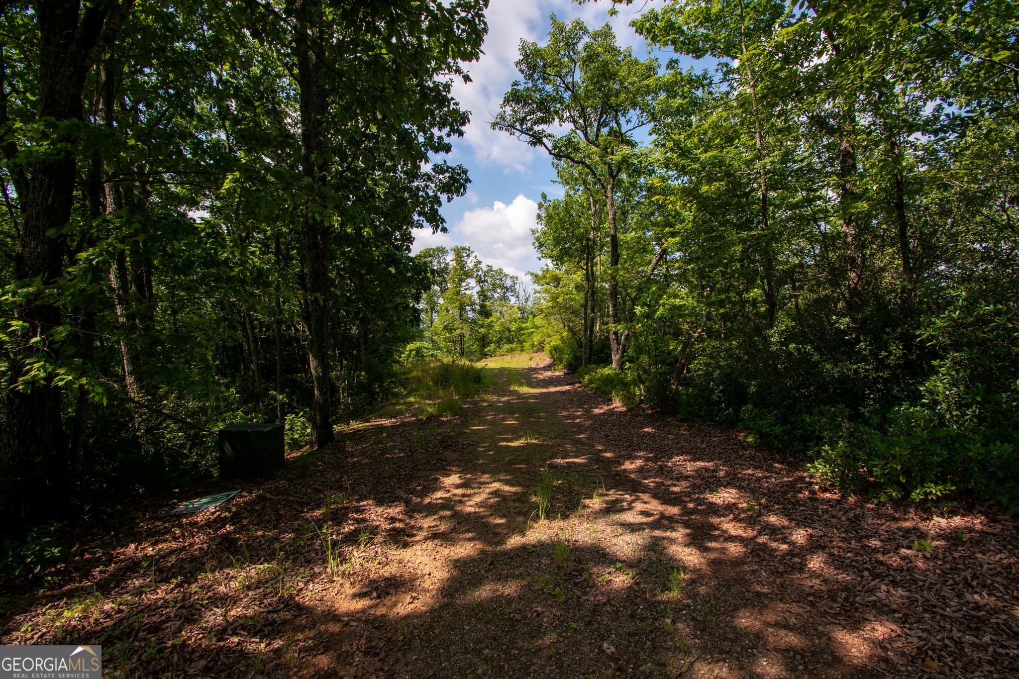 residential lot for sale at 850 Bluff Road, Marble, NC 28905 — photo 3