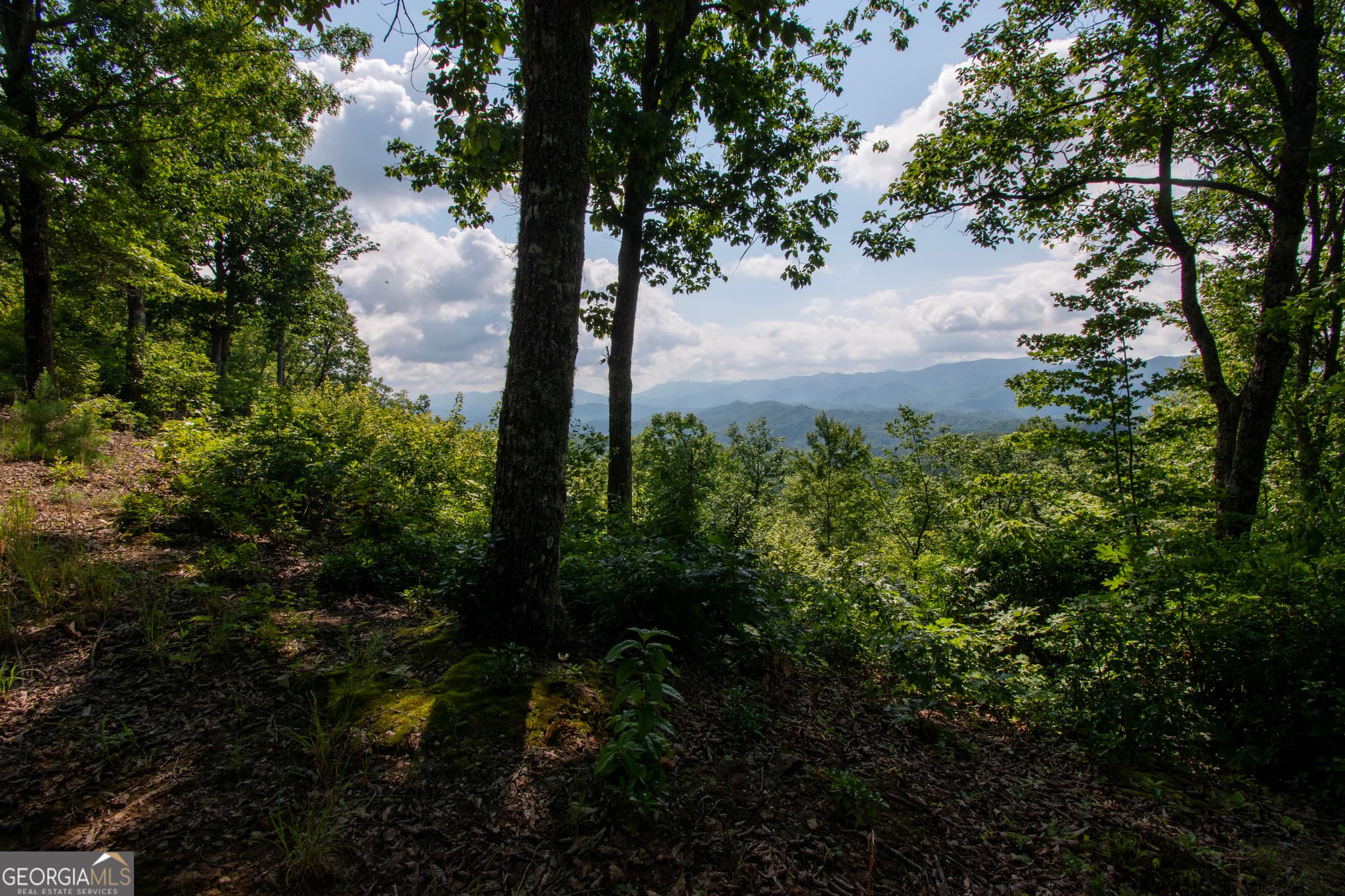 residential lot for sale at 850 Bluff Road, Marble, NC 28905