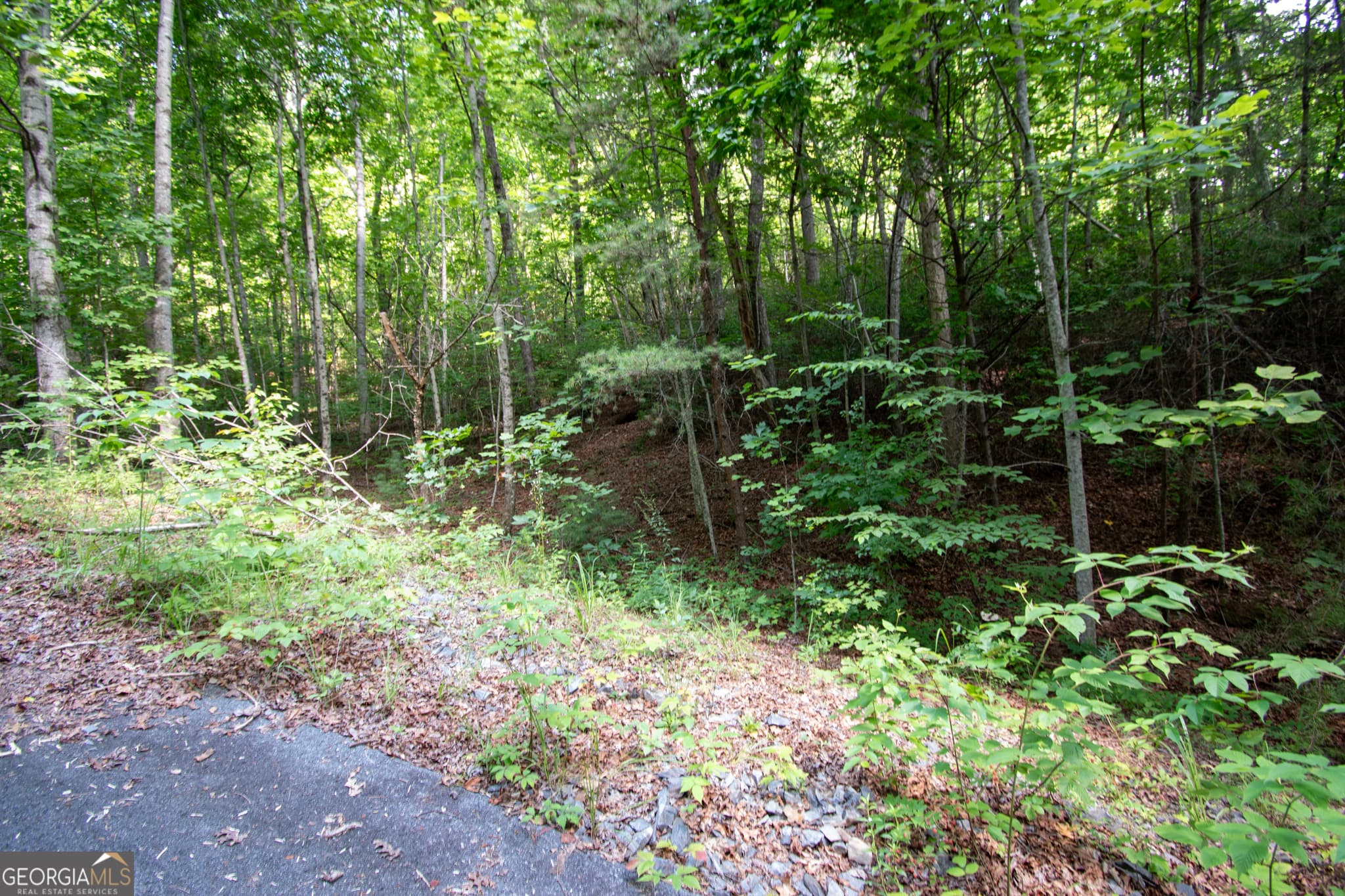 residential lot for sale at 850 Bluff Road, Marble, NC 28905 — photo 5