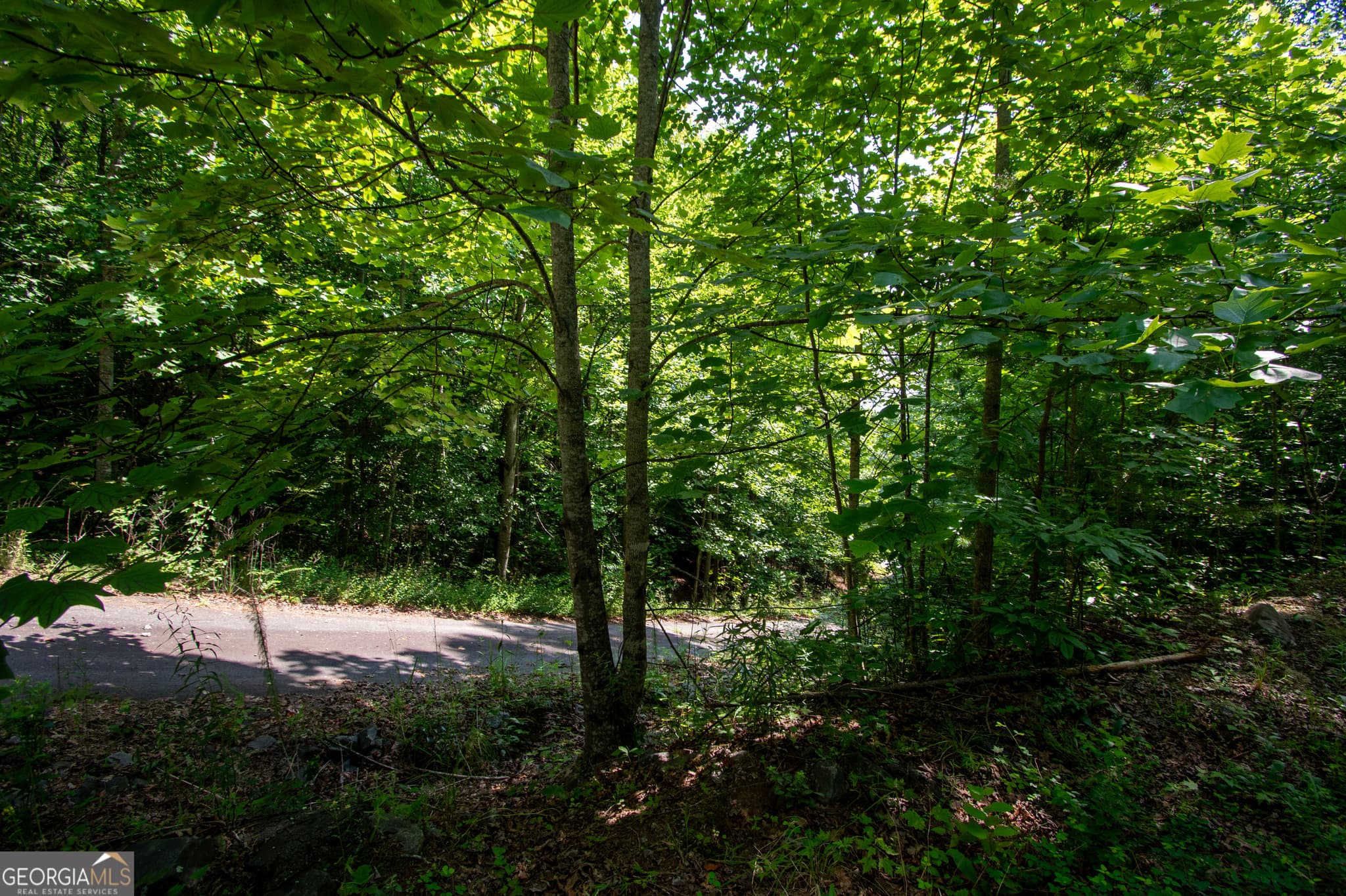 residential lot for sale at 850 Bluff Road, Marble, NC 28905 — photo 9