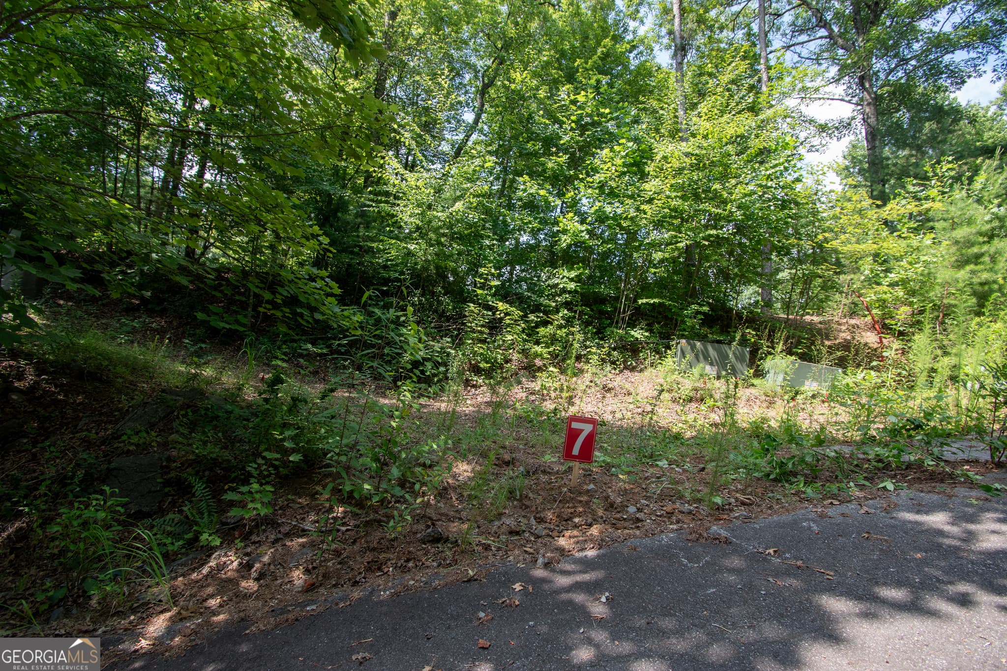 residential lot for sale at 850 Bluff Road, Marble, NC 28905 — photo 10