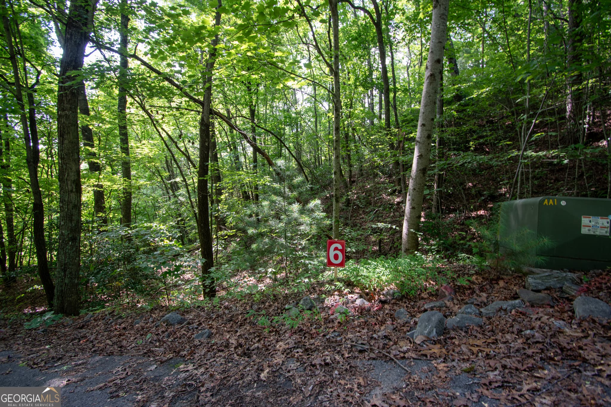 residential lot for sale at 850 Bluff Road, Marble, NC 28905 — photo 4