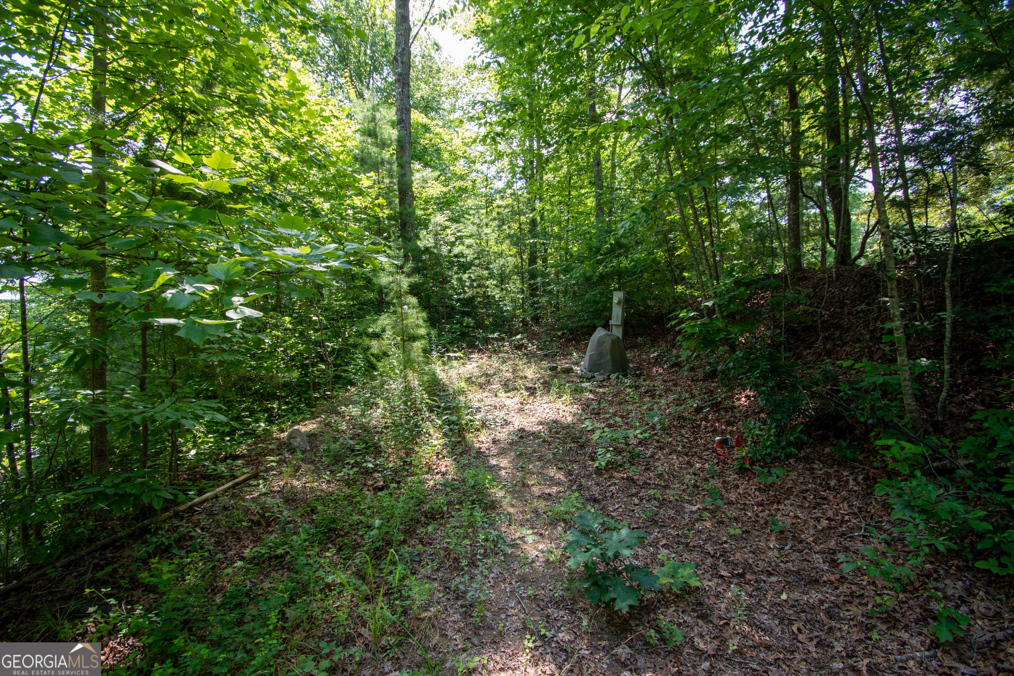residential lot for sale at 850 Bluff Road, Marble, NC 28905 — photo 8