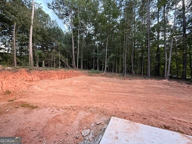 3 bedroom, 2.5 bathroom, 1,724 sq ft single family residence for sale at 167 Iron Bound Trail, Dallas, GA 30132 — photo 10