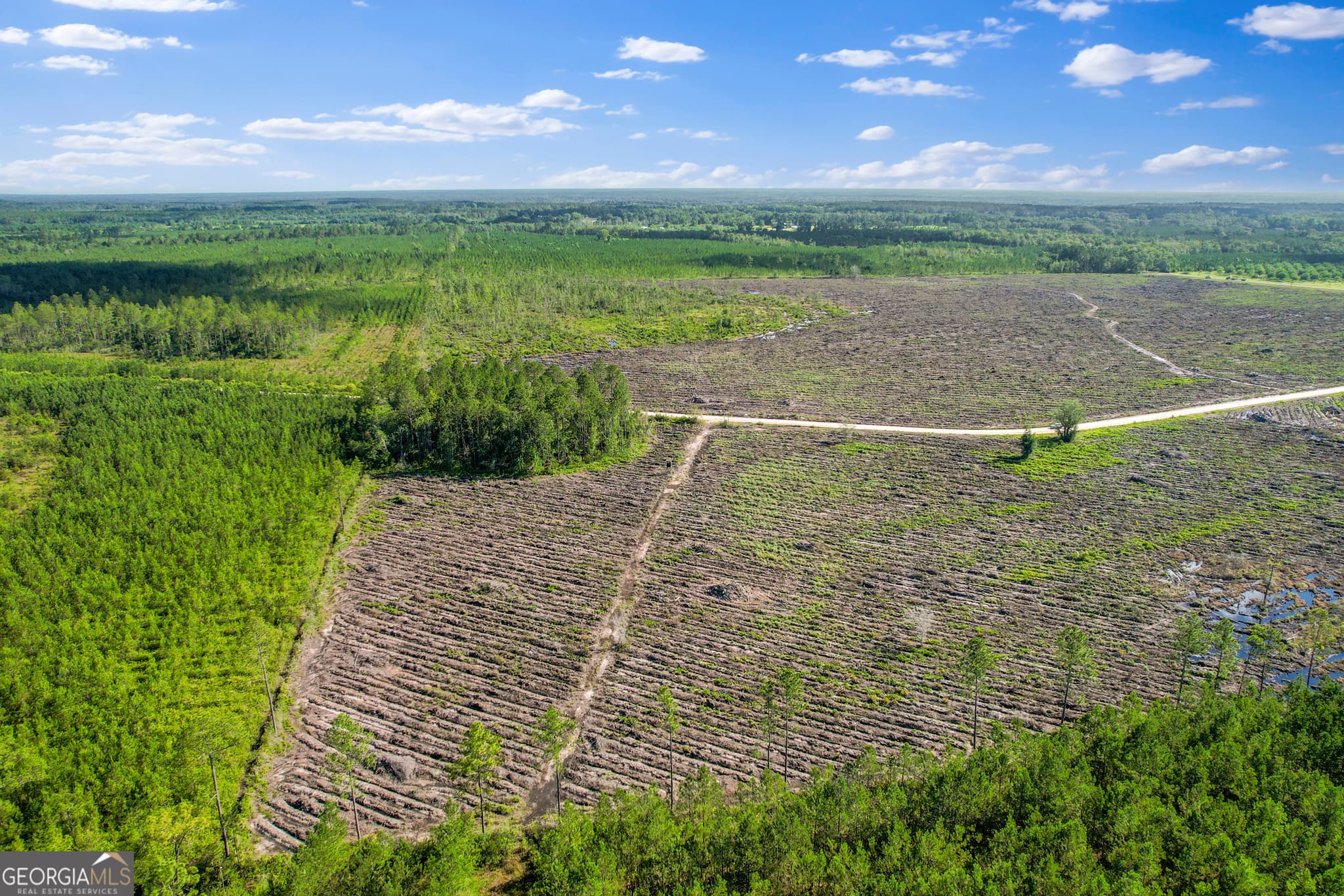 agriculture sold at TRACT 4 Morris Break Road, Odum, GA 31555