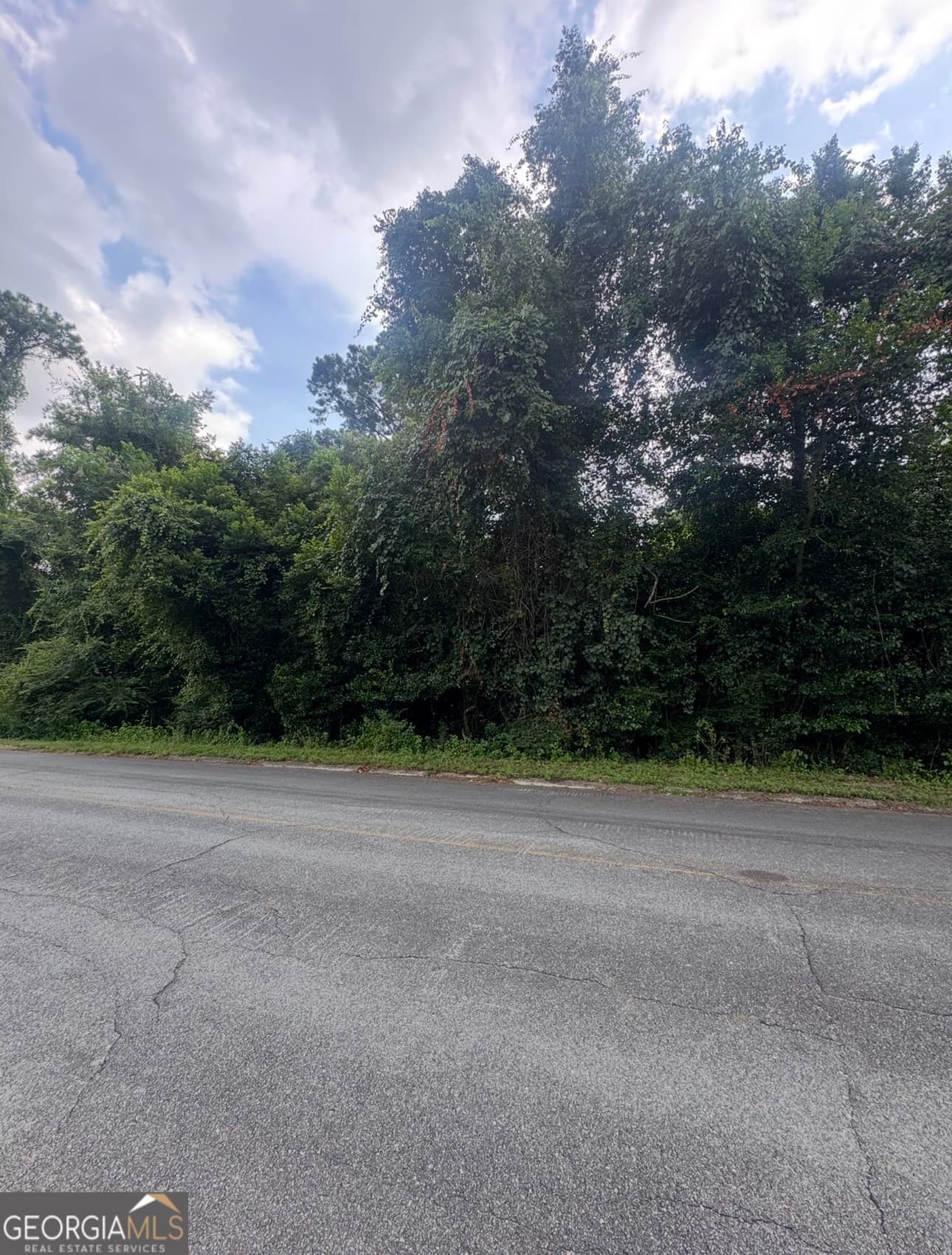 residential lot for sale at 2.22 ACRES SEMI Seminole Trail, Waycross, GA 31501 — photo 1 of 1