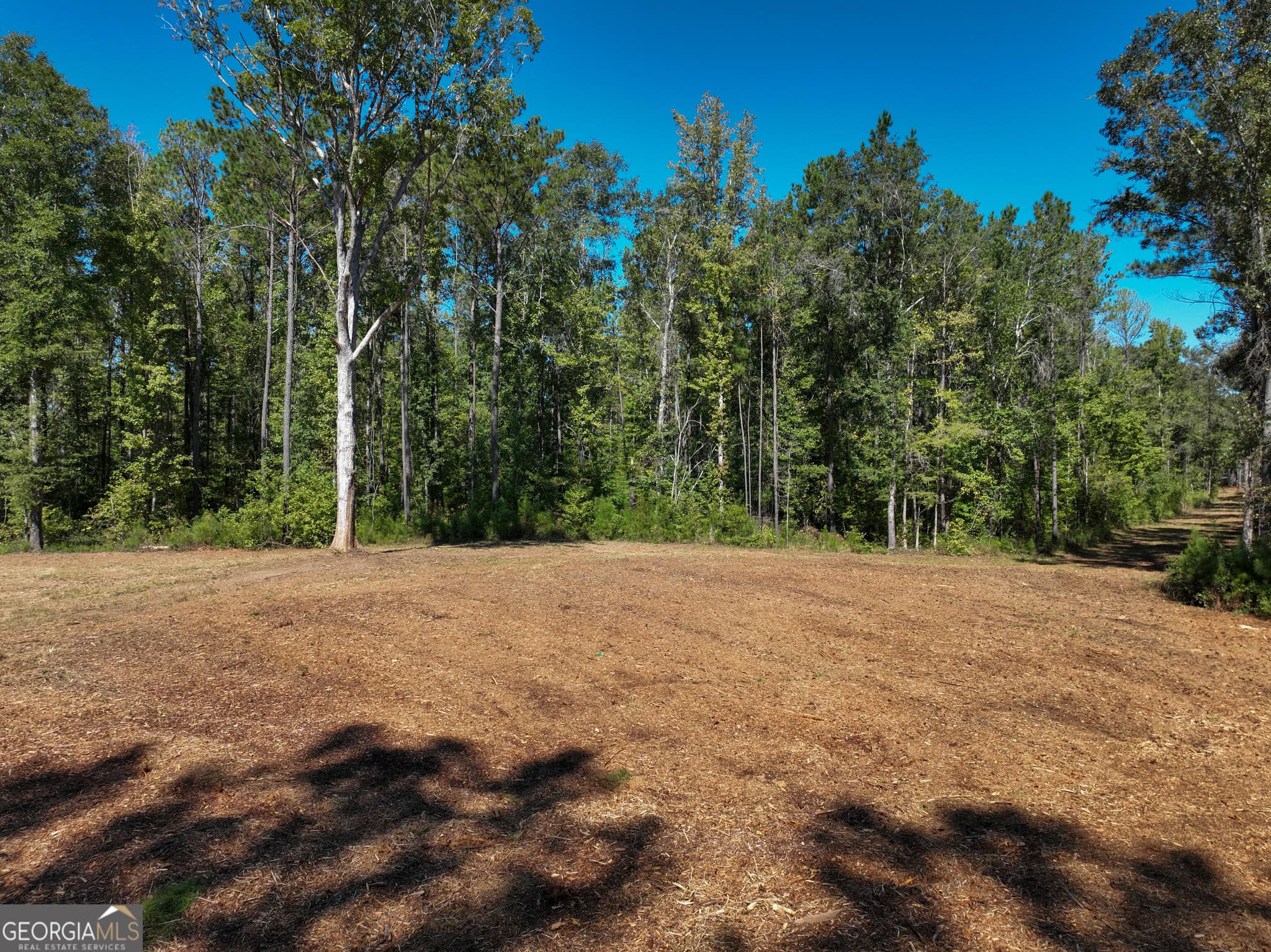 agriculture for sale at 0 Buck Run Road, Talbotton, GA 31827 — photo 2