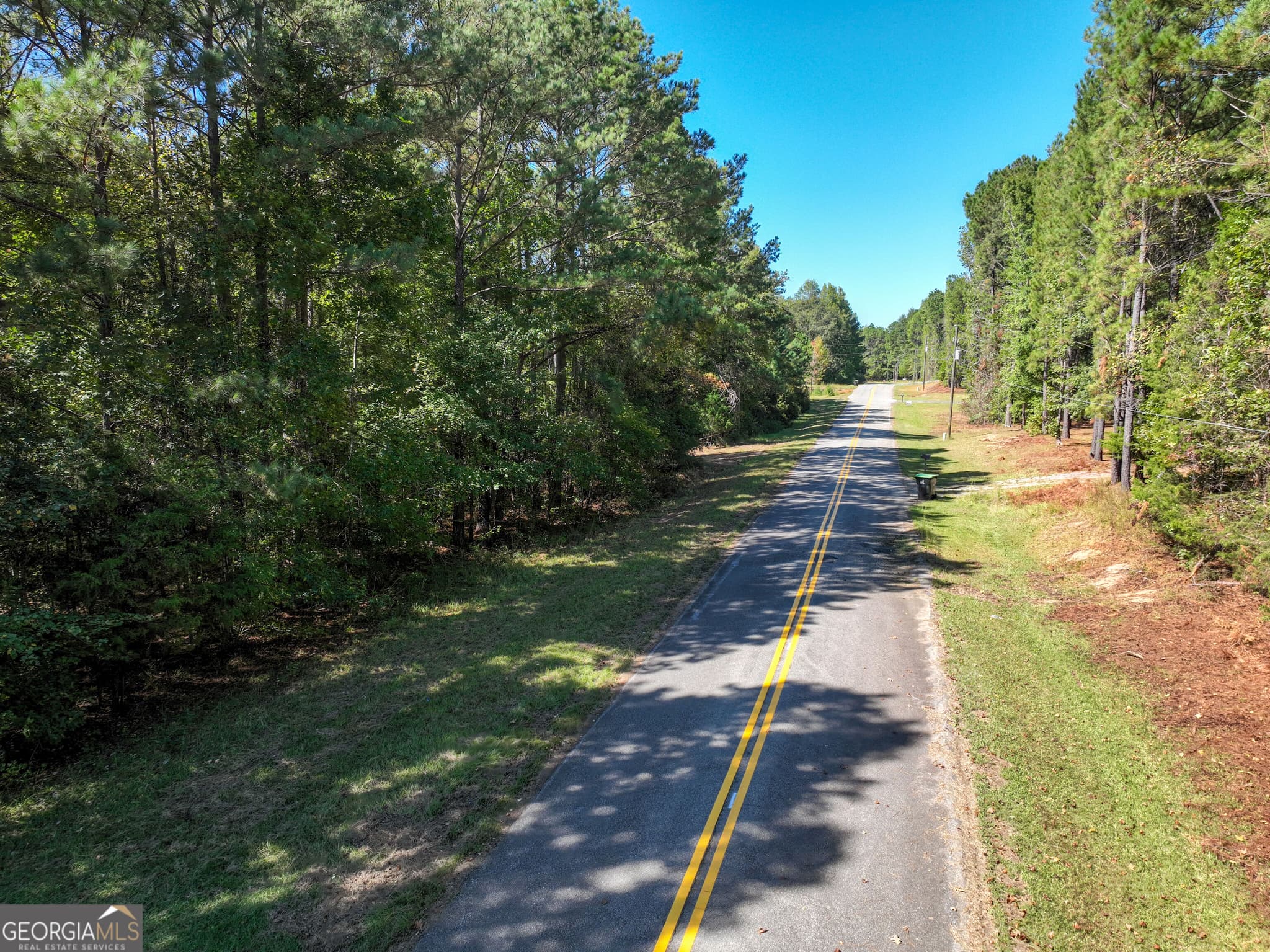 agriculture for sale at 0 Buck Run Road, Talbotton, GA 31827 — photo 6