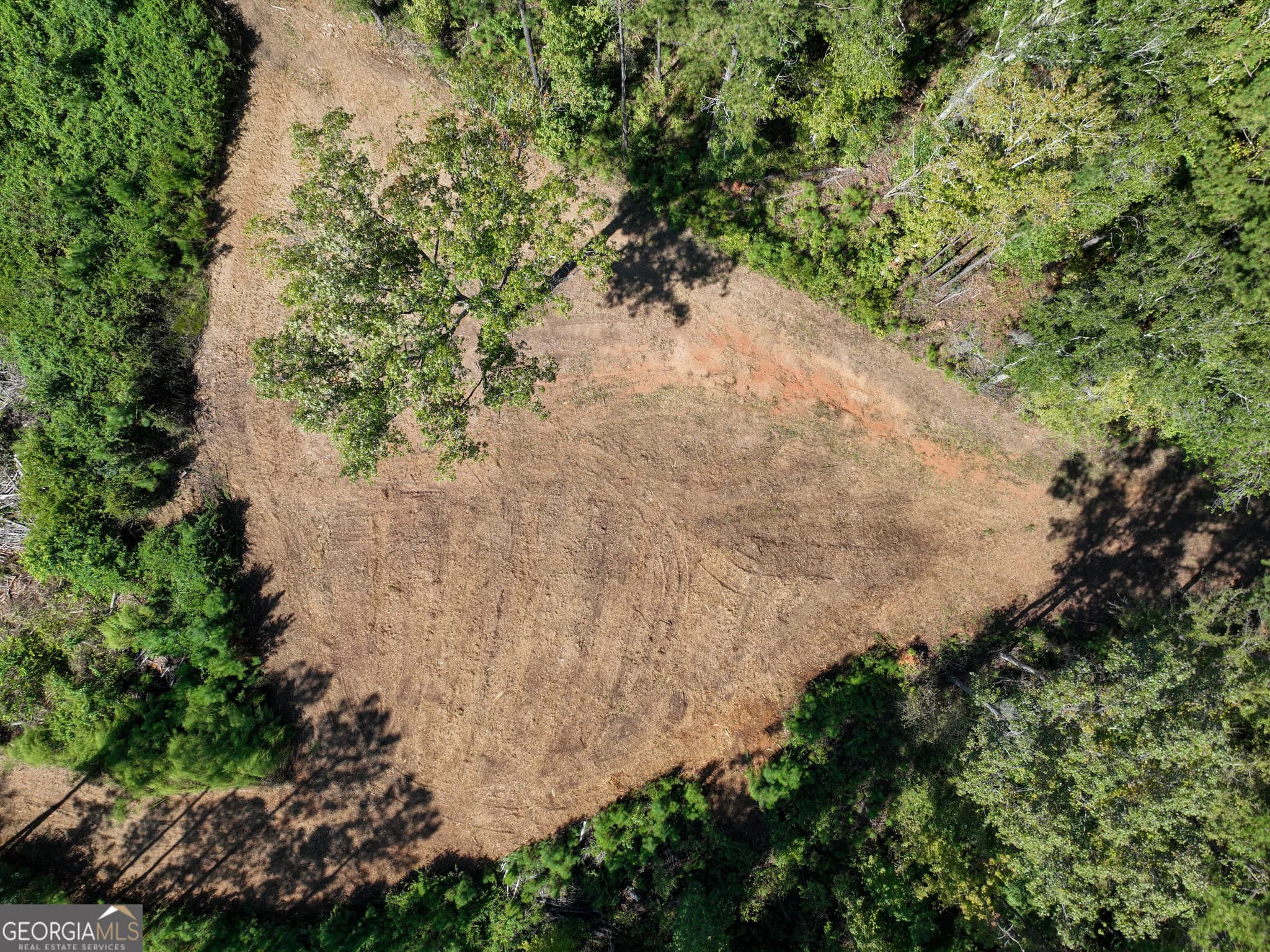 agriculture for sale at 0 Buck Run Road, Talbotton, GA 31827 — photo 7