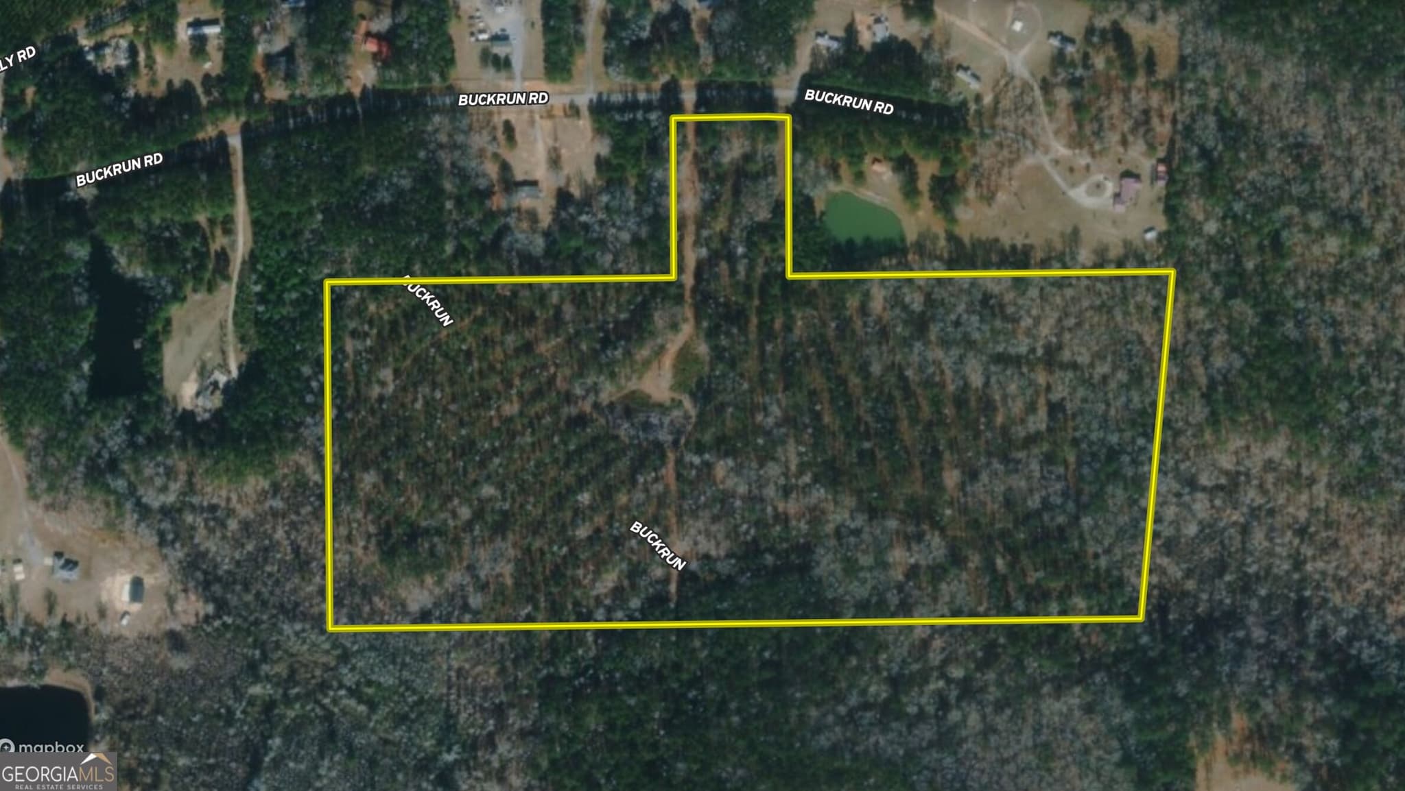 agriculture for sale at 0 Buck Run Road, Talbotton, GA 31827 — photo 3