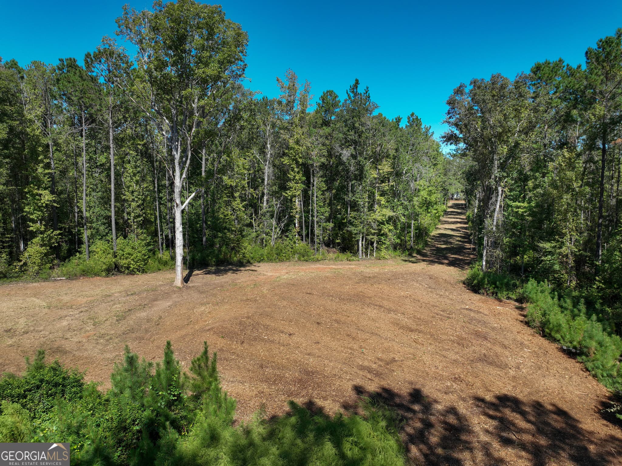 agriculture for sale at 0 Buck Run Road, Talbotton, GA 31827 — photo 1 of 20