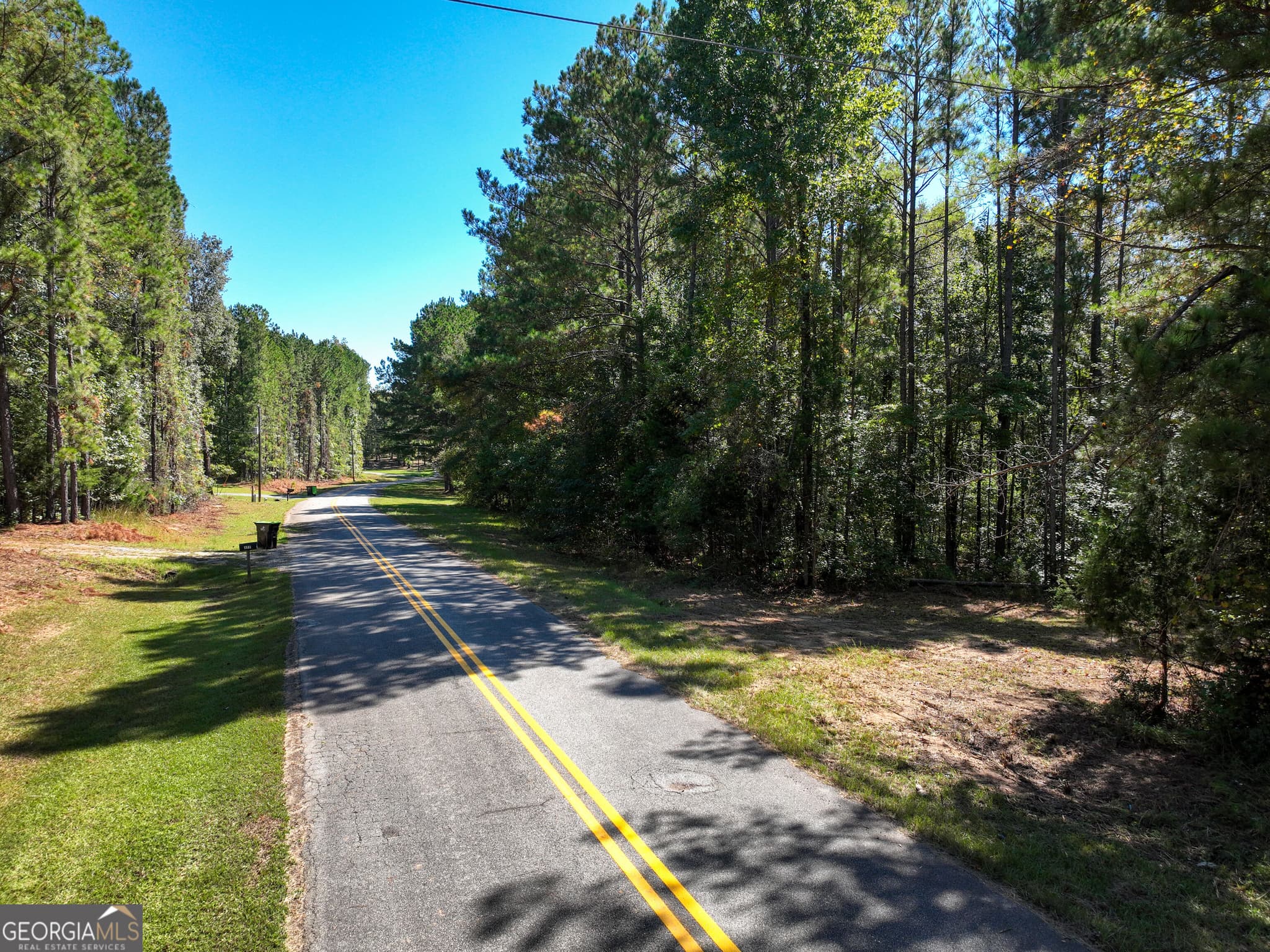 agriculture for sale at 0 Buck Run Road, Talbotton, GA 31827 — photo 5